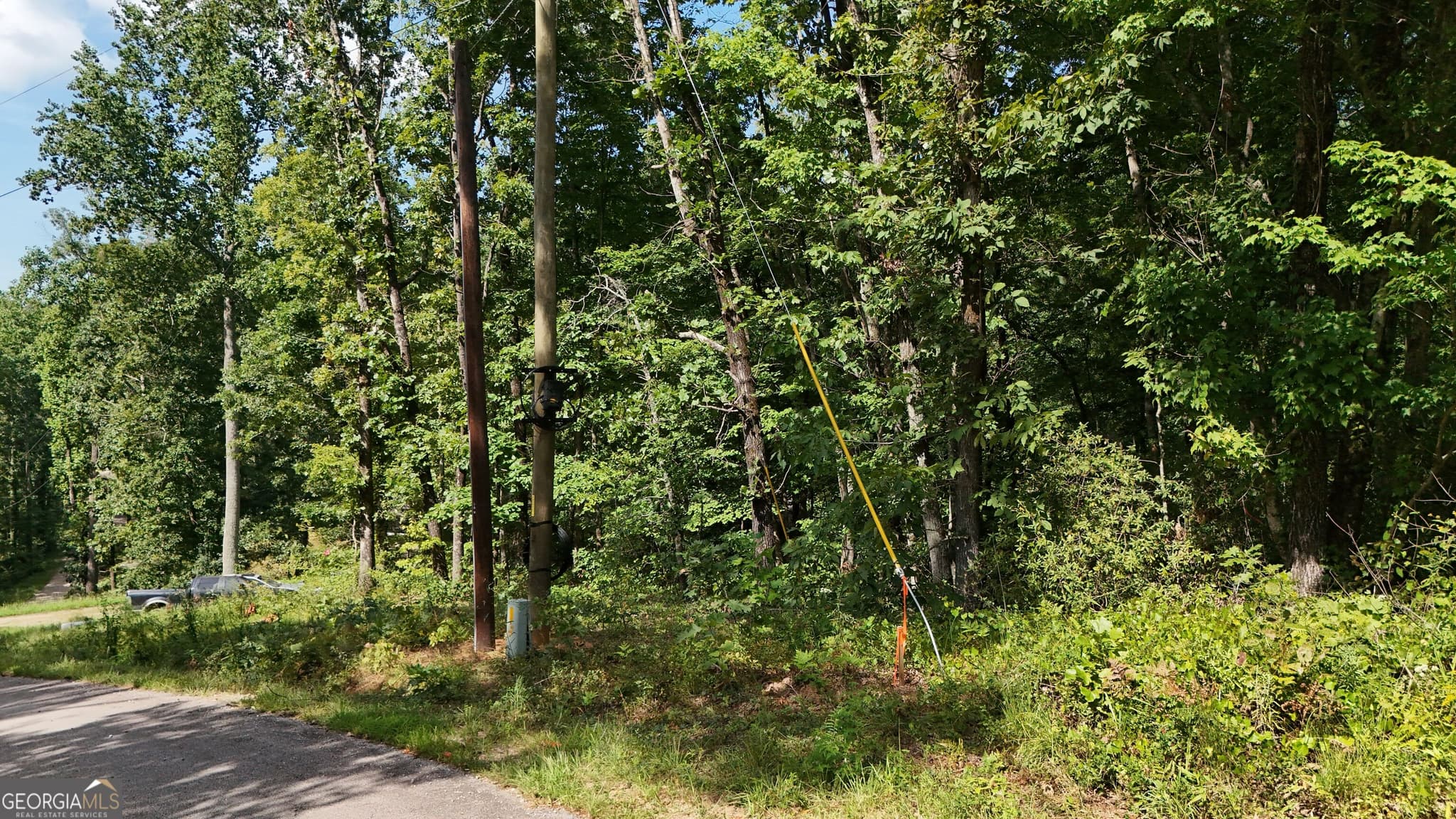 residential lot for sale at LOT 195 Fern Valley Trail, Clarkesville, GA 30523 — photo 5