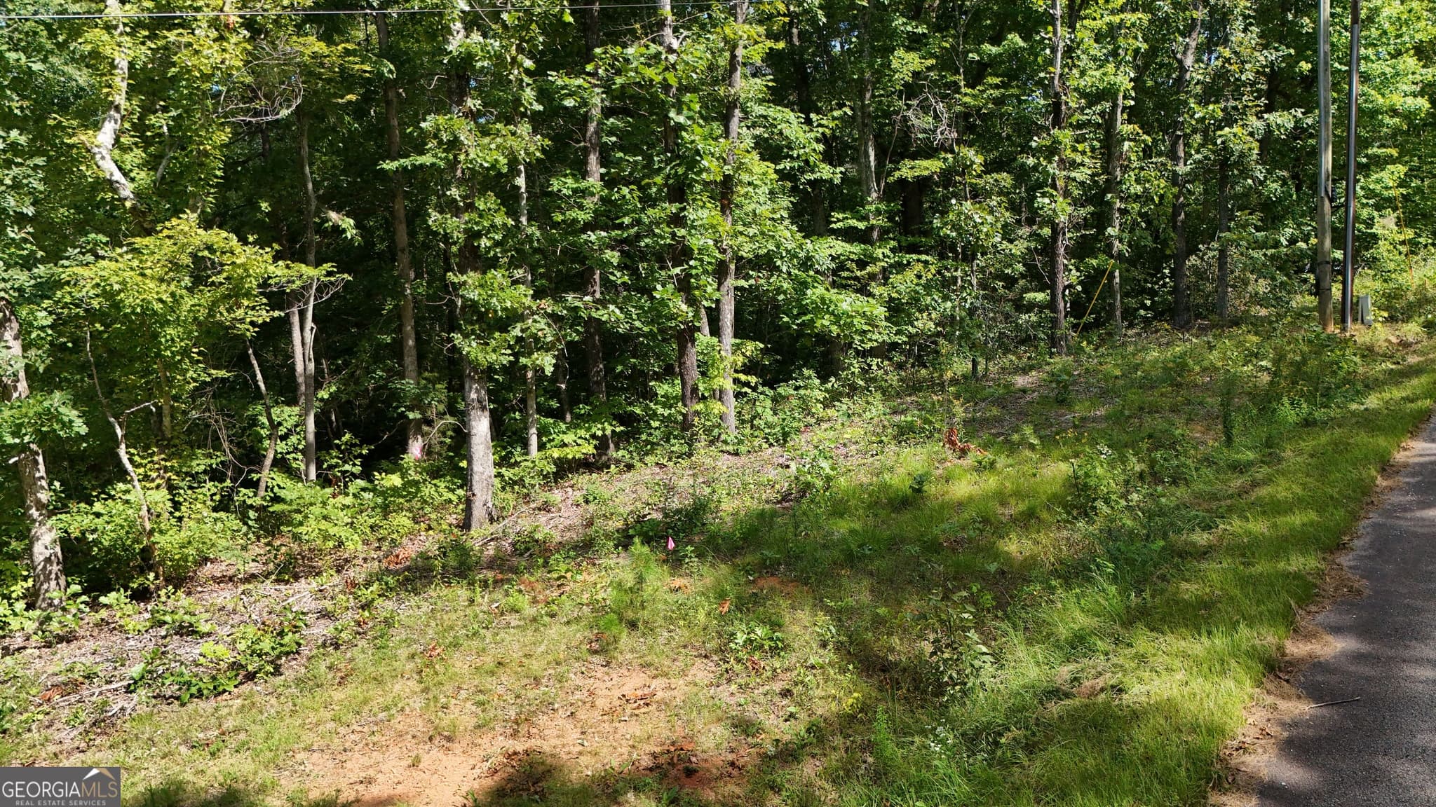 residential lot for sale at LOT 195 Fern Valley Trail, Clarkesville, GA 30523 — photo 4