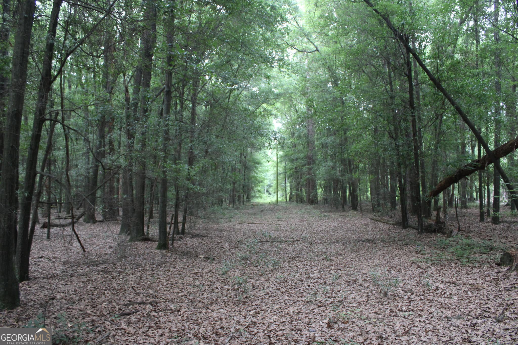 unimproved land for sale at 0 S State Route 49 Road, Oglethorpe, GA 31068 — photo 2