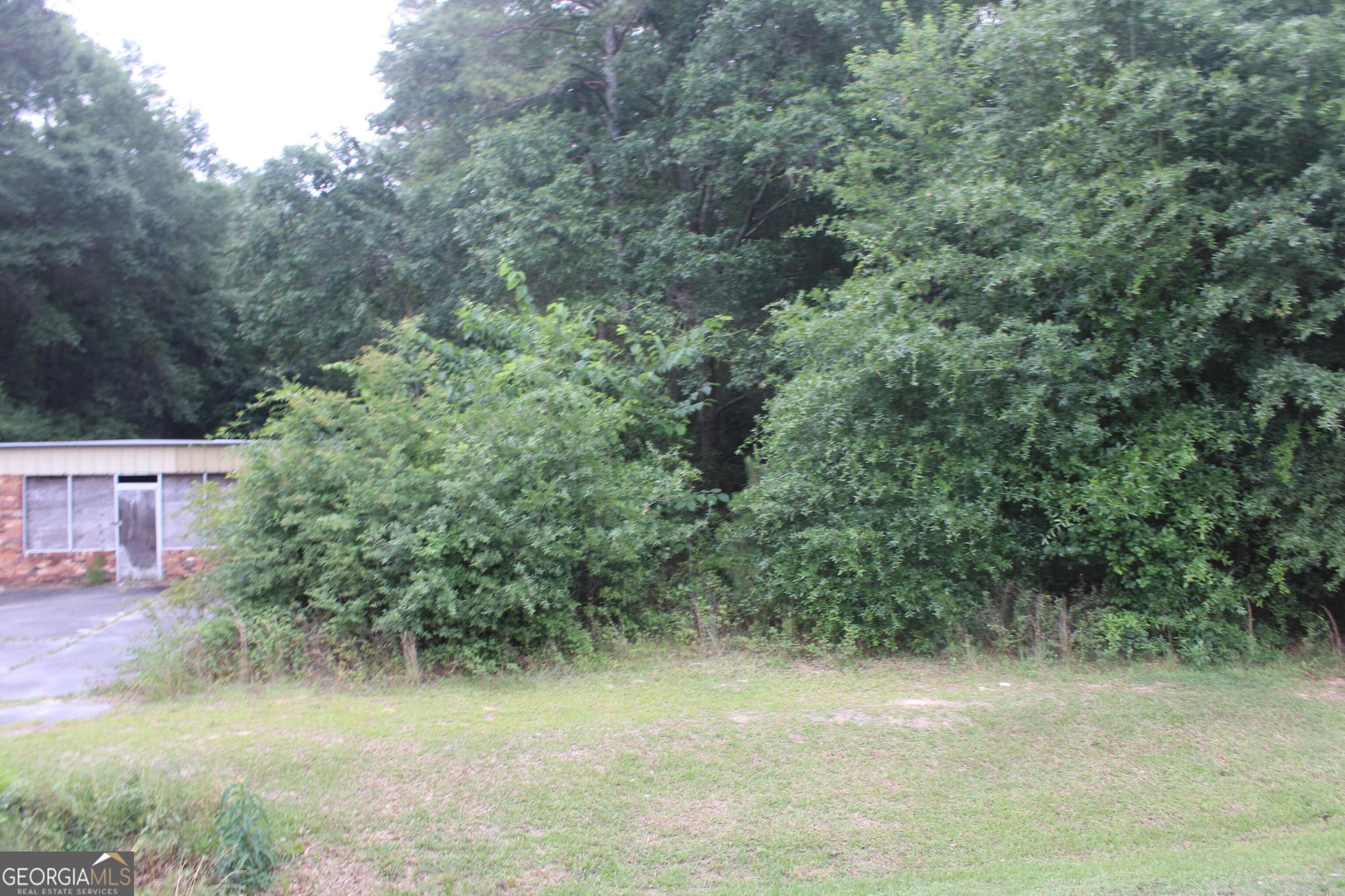 unimproved land for sale at 0 S State Route 49 Road, Oglethorpe, GA 31068 — photo 6