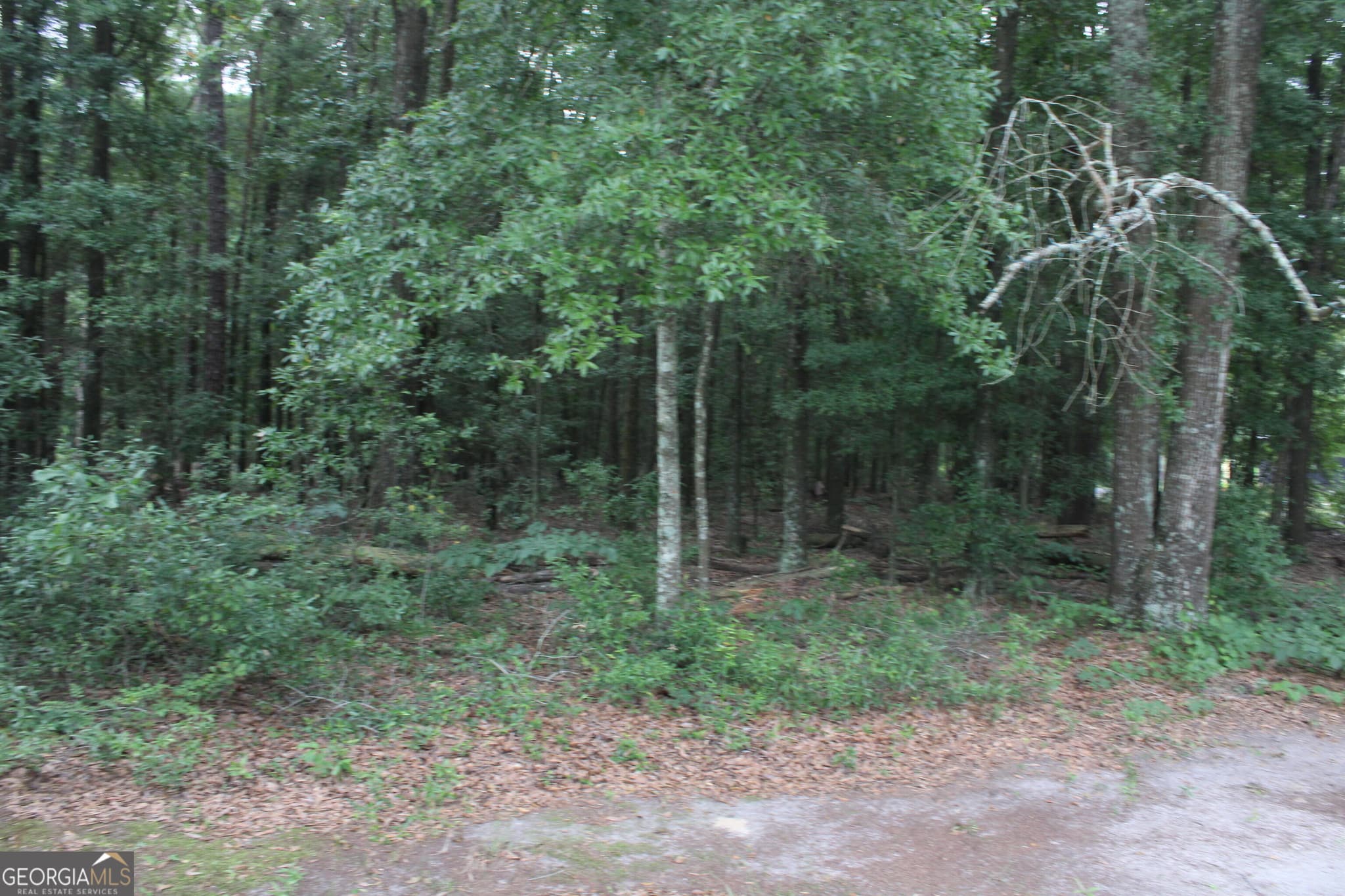 unimproved land for sale at 0 S State Route 49 Road, Oglethorpe, GA 31068 — photo 7