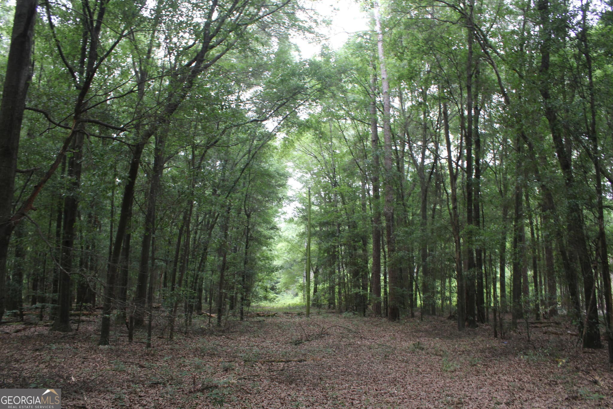 unimproved land for sale at 0 S State Route 49 Road, Oglethorpe, GA 31068