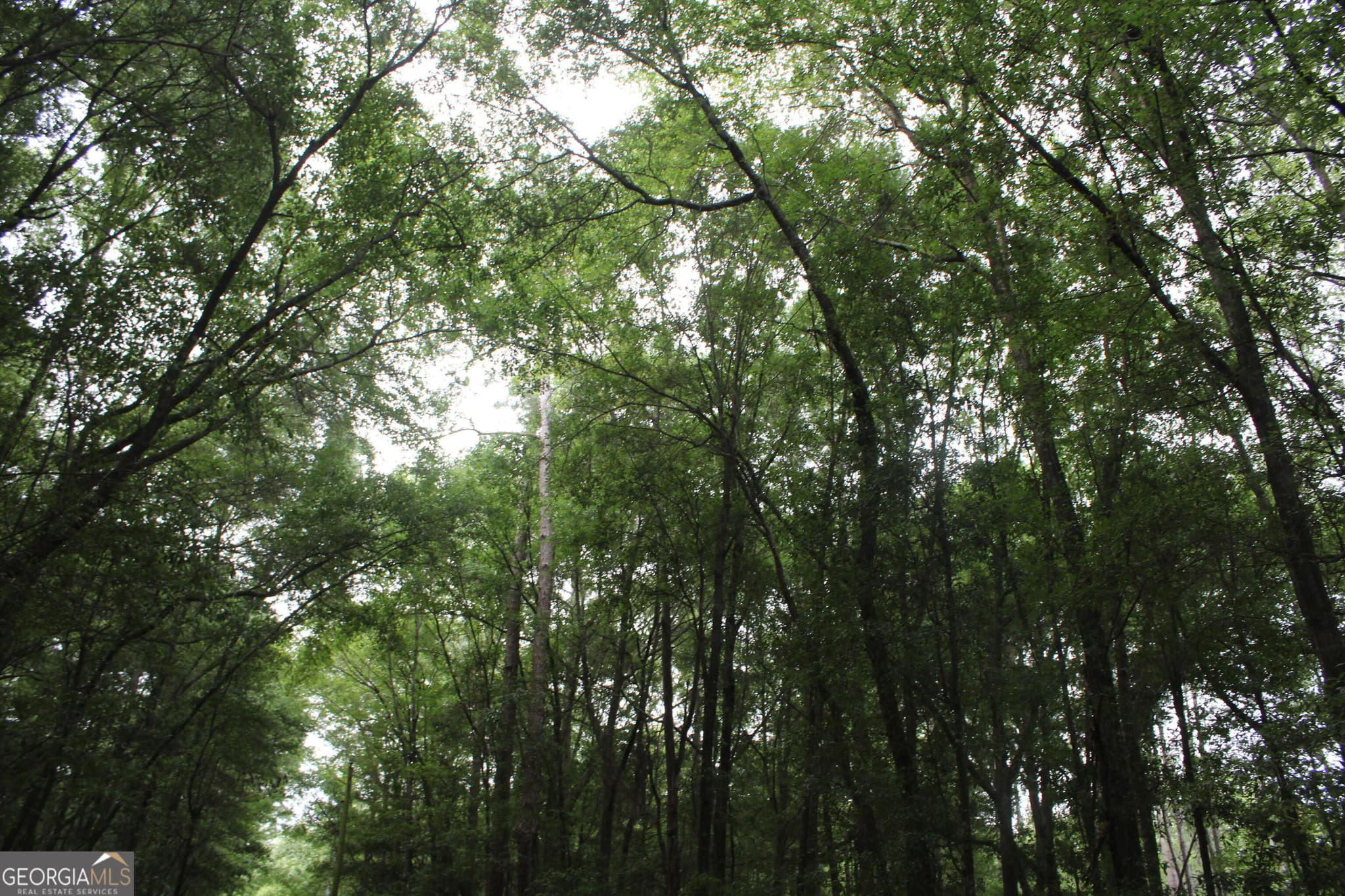 unimproved land for sale at 0 S State Route 49 Road, Oglethorpe, GA 31068 — photo 5