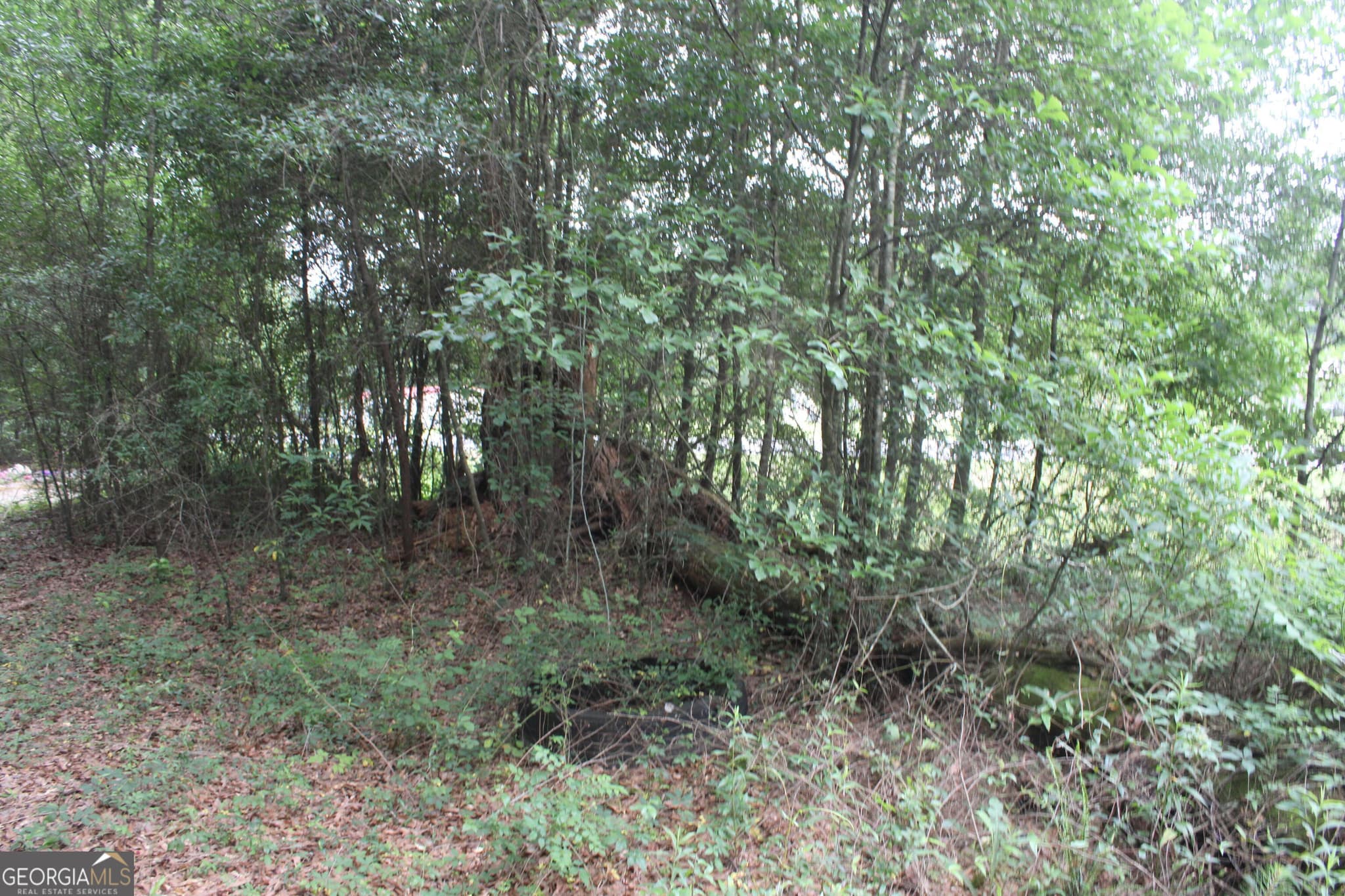unimproved land for sale at 0 S State Route 49 Road, Oglethorpe, GA 31068 — photo 9