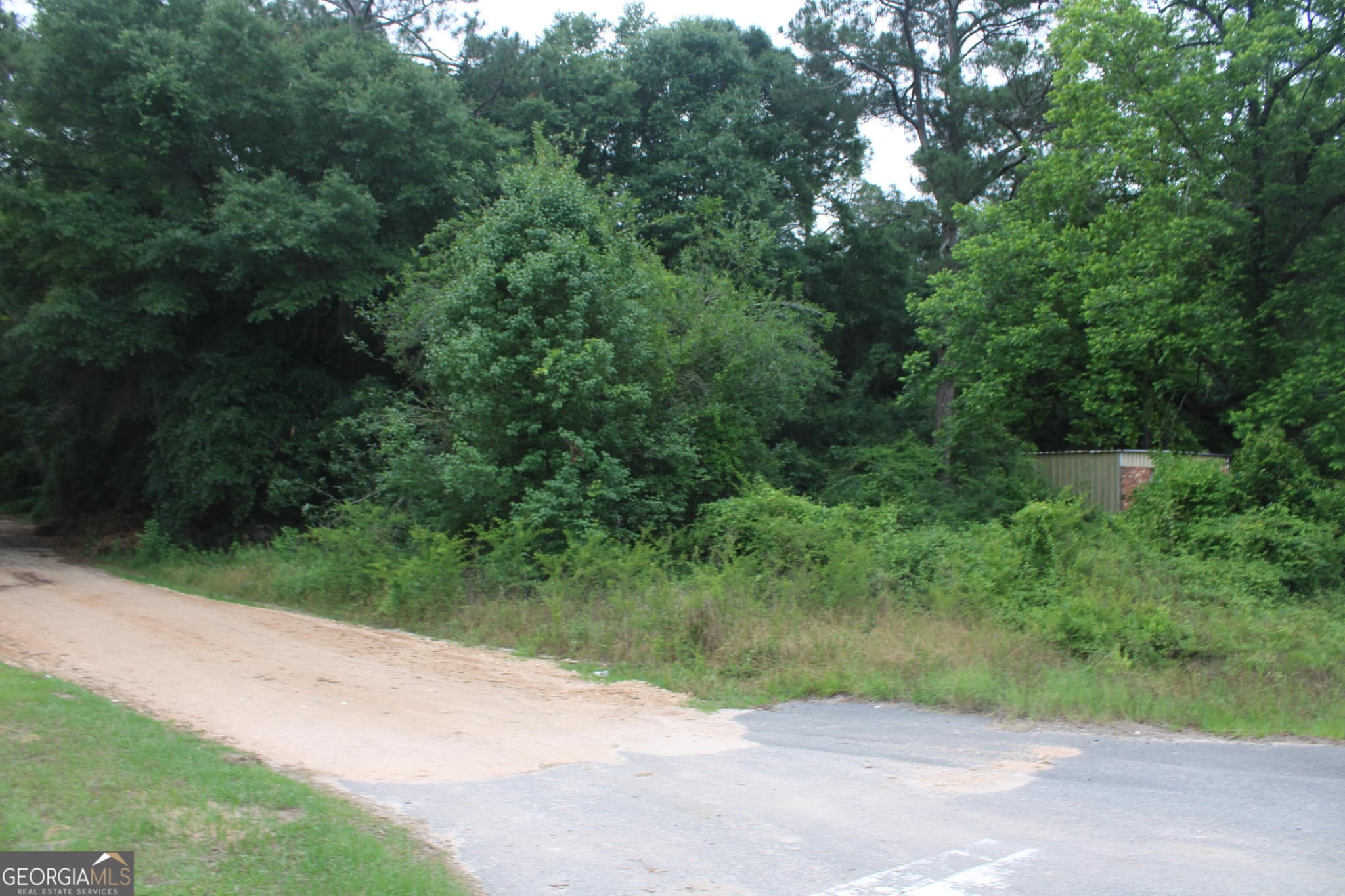 unimproved land for sale at 0 S State Route 49 Road, Oglethorpe, GA 31068 — photo 10