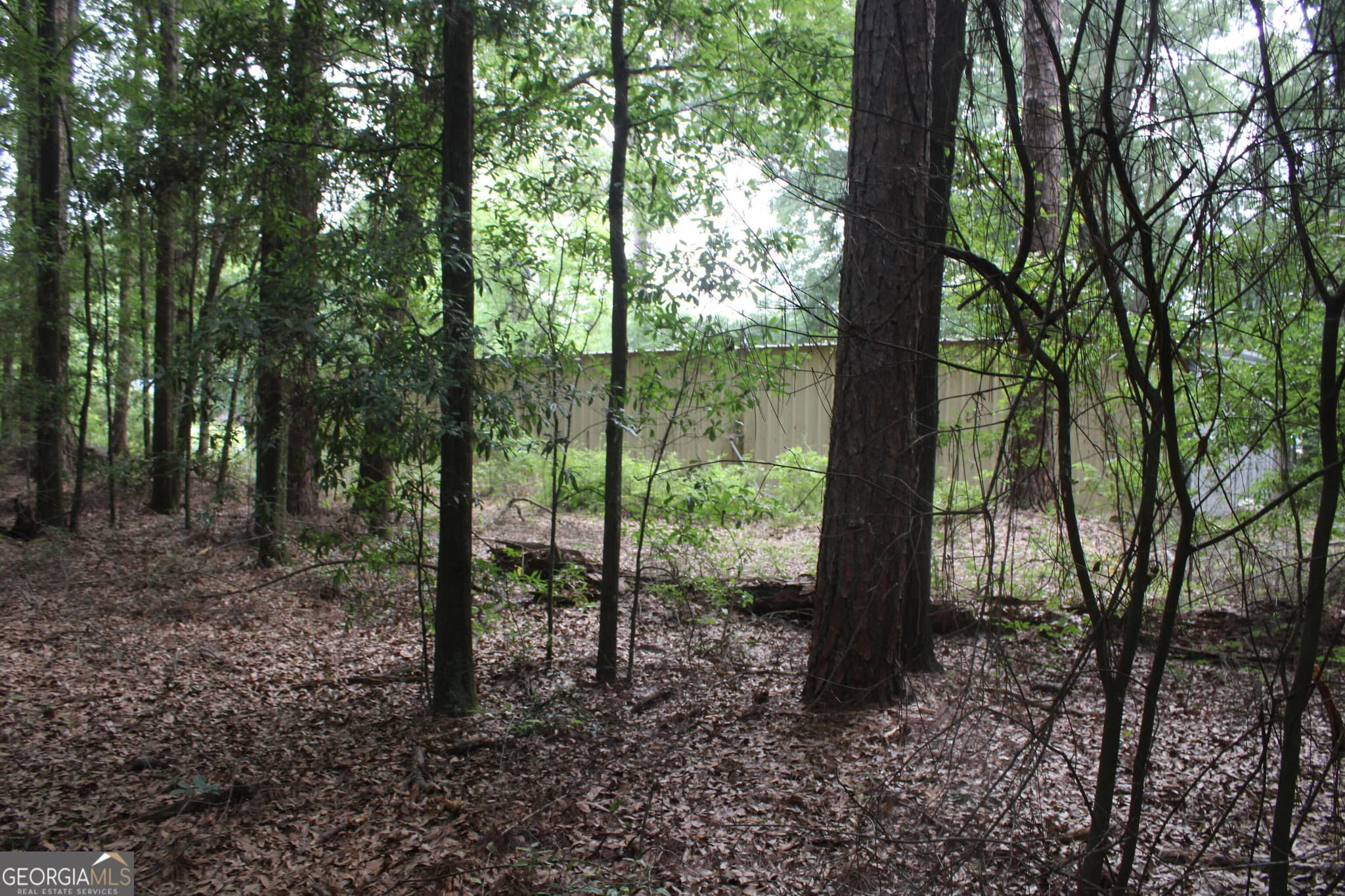unimproved land for sale at 0 S State Route 49 Road, Oglethorpe, GA 31068 — photo 4