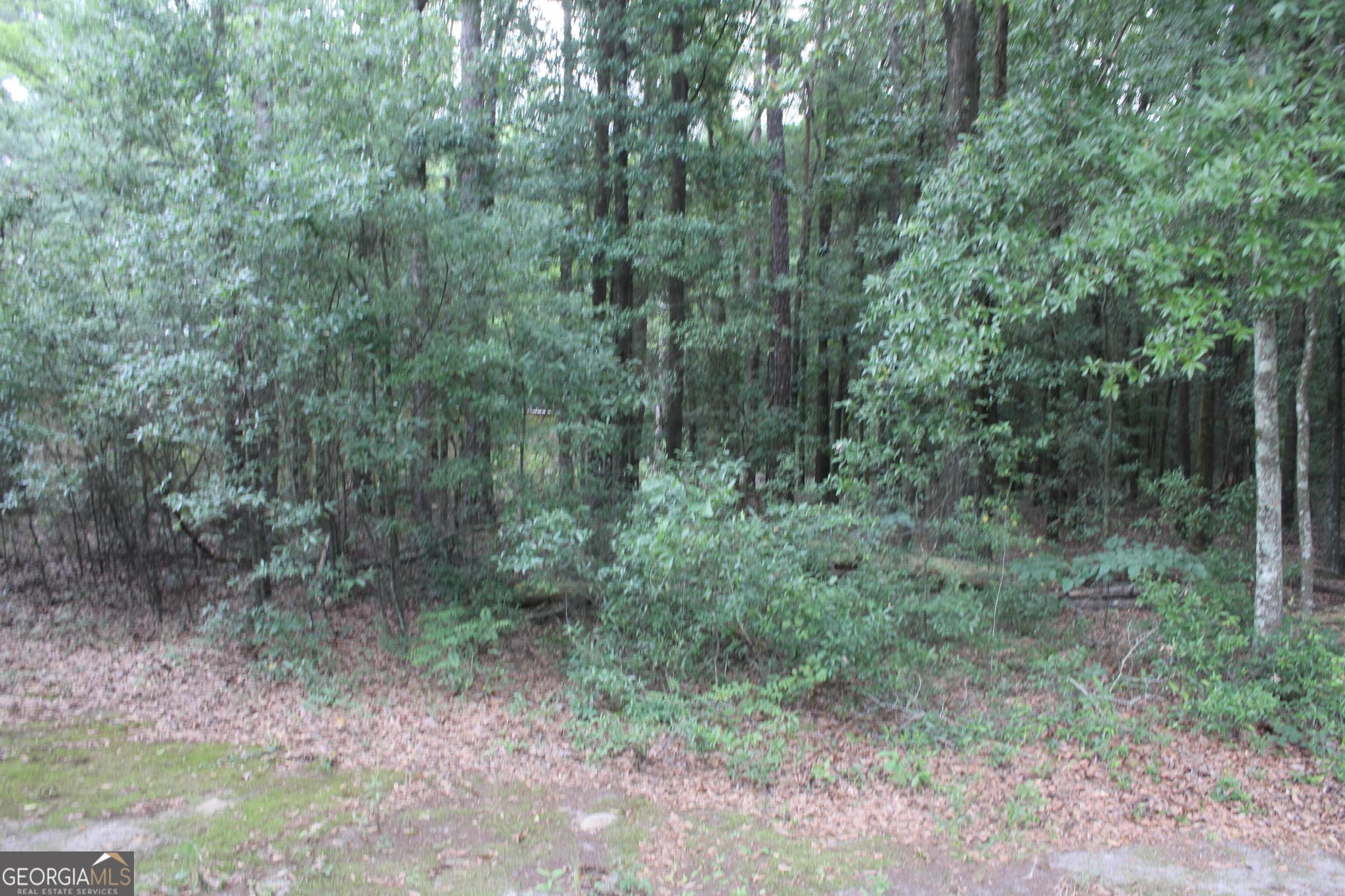 unimproved land for sale at 0 S State Route 49 Road, Oglethorpe, GA 31068 — photo 8