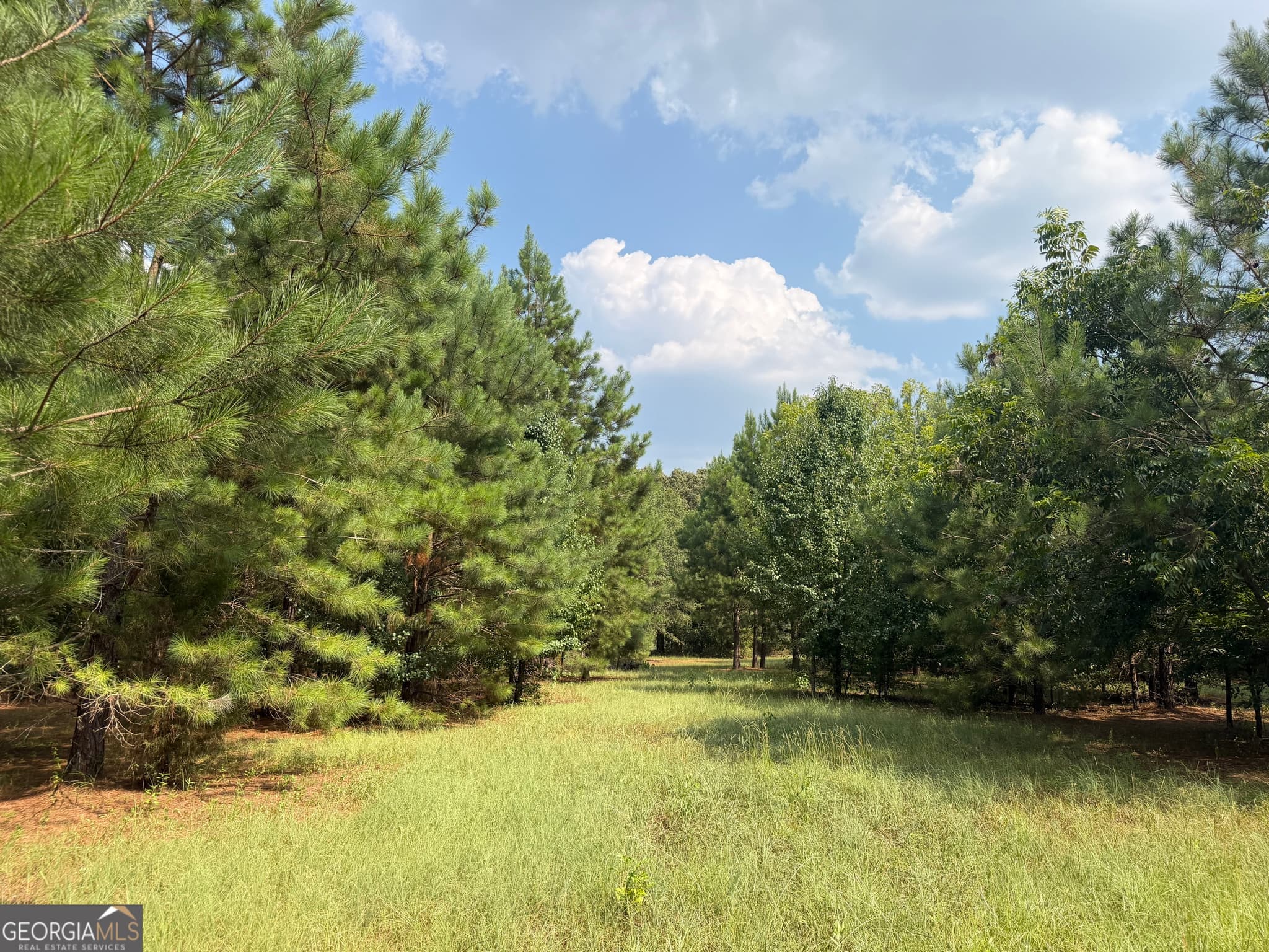 agriculture sold at 014 S Carter Fish Pond Road, Plains, GA 31780