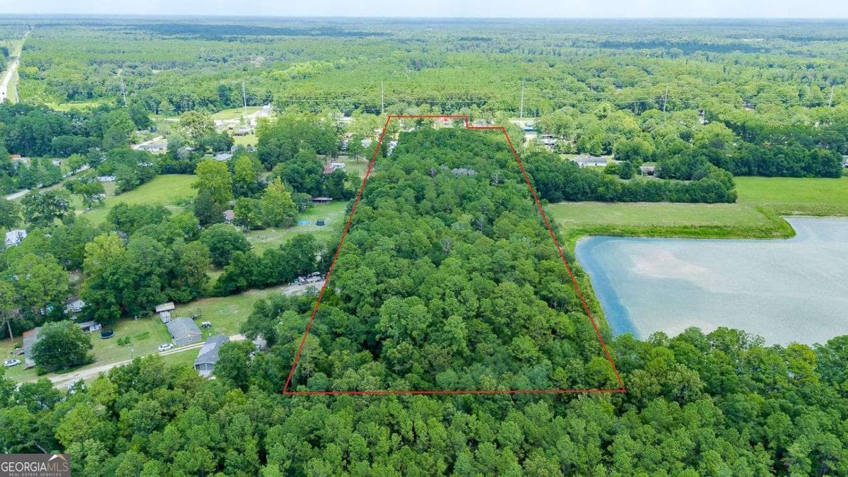 residential lot for sale at 0 Hwy 80, Ellabell, GA 31308 — photo 6