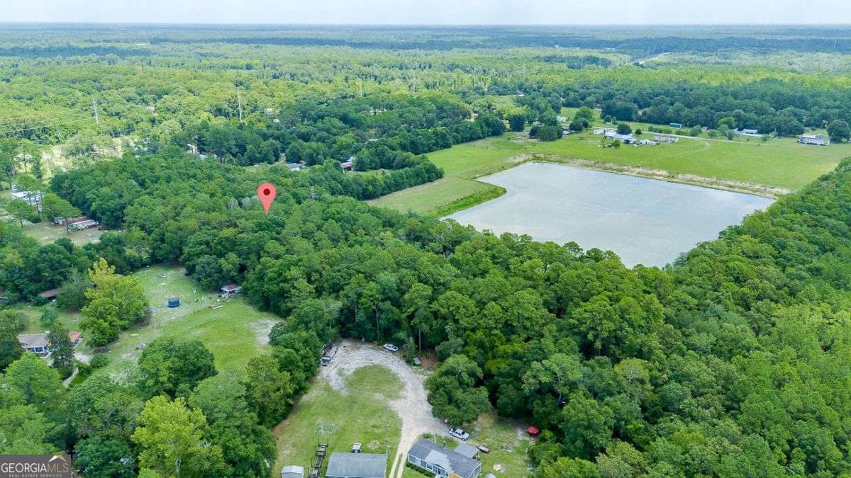 residential lot for sale at 0 Hwy 80, Ellabell, GA 31308 — photo 7