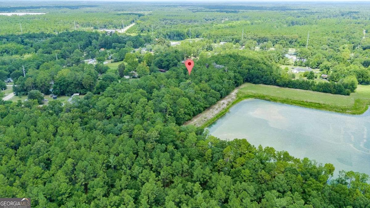 residential lot for sale at 0 Hwy 80, Ellabell, GA 31308 — photo 5