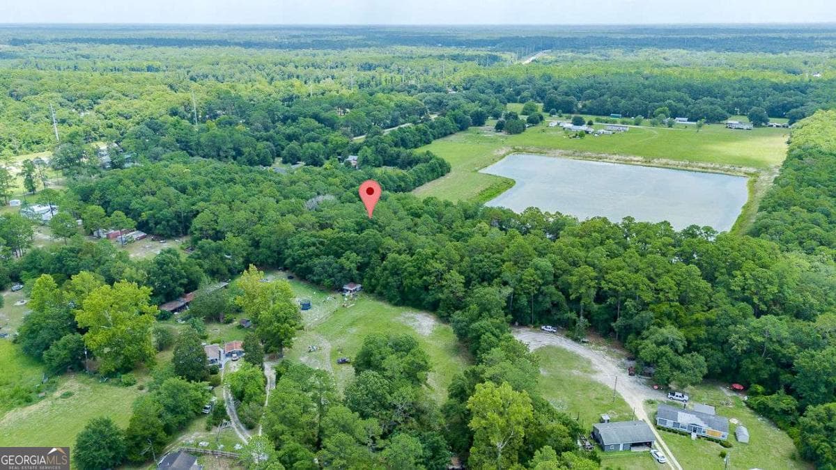 residential lot for sale at 0 Hwy 80, Ellabell, GA 31308 — photo 8