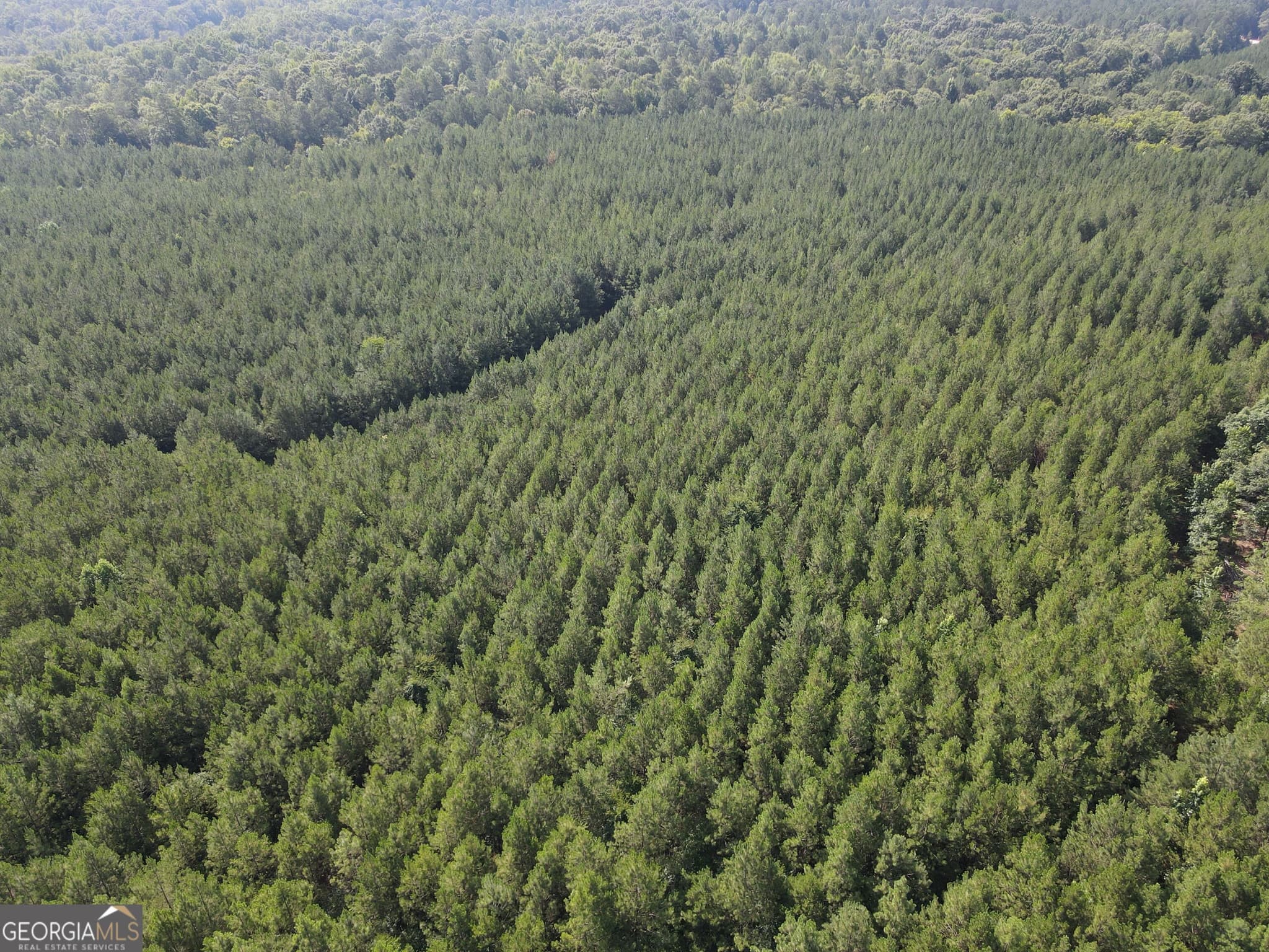 residential lot for sale at 0 Lower Harmony Road LOT 2, Eatonton, GA 31024 — photo 9