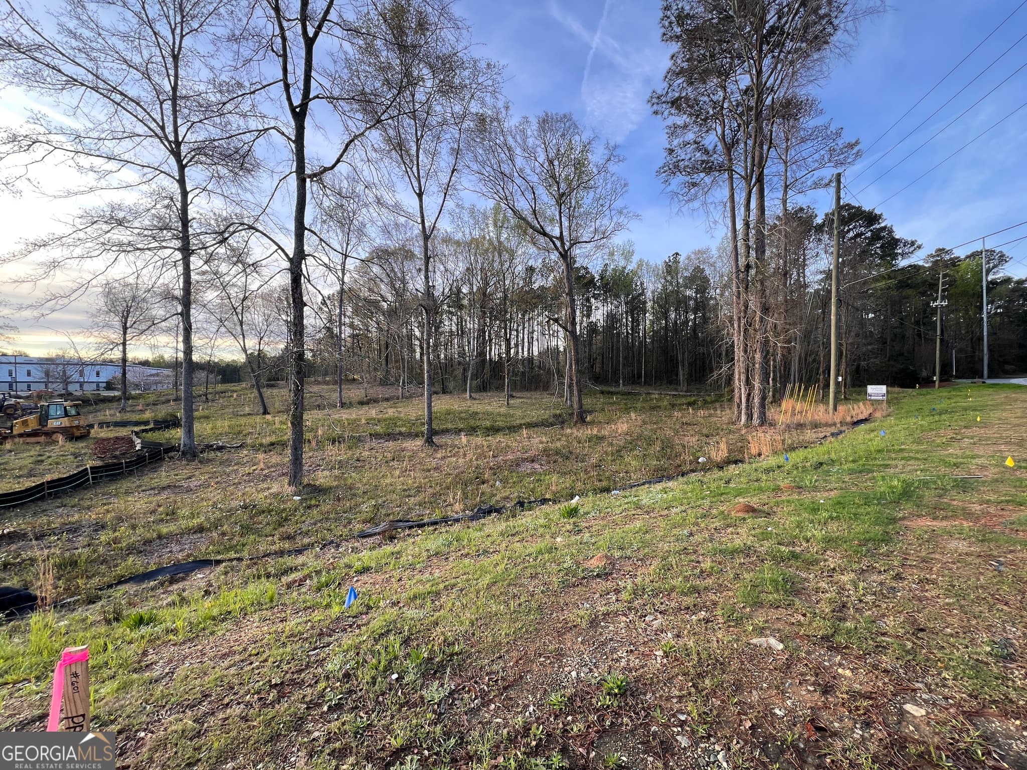 unimproved land for sale at 1415 Bass Road, Macon, GA 31210 — photo 2