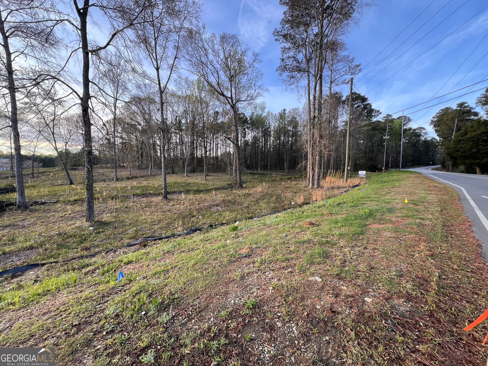 unimproved land for sale at 1415 Bass Road, Macon, GA 31210 — photo 9