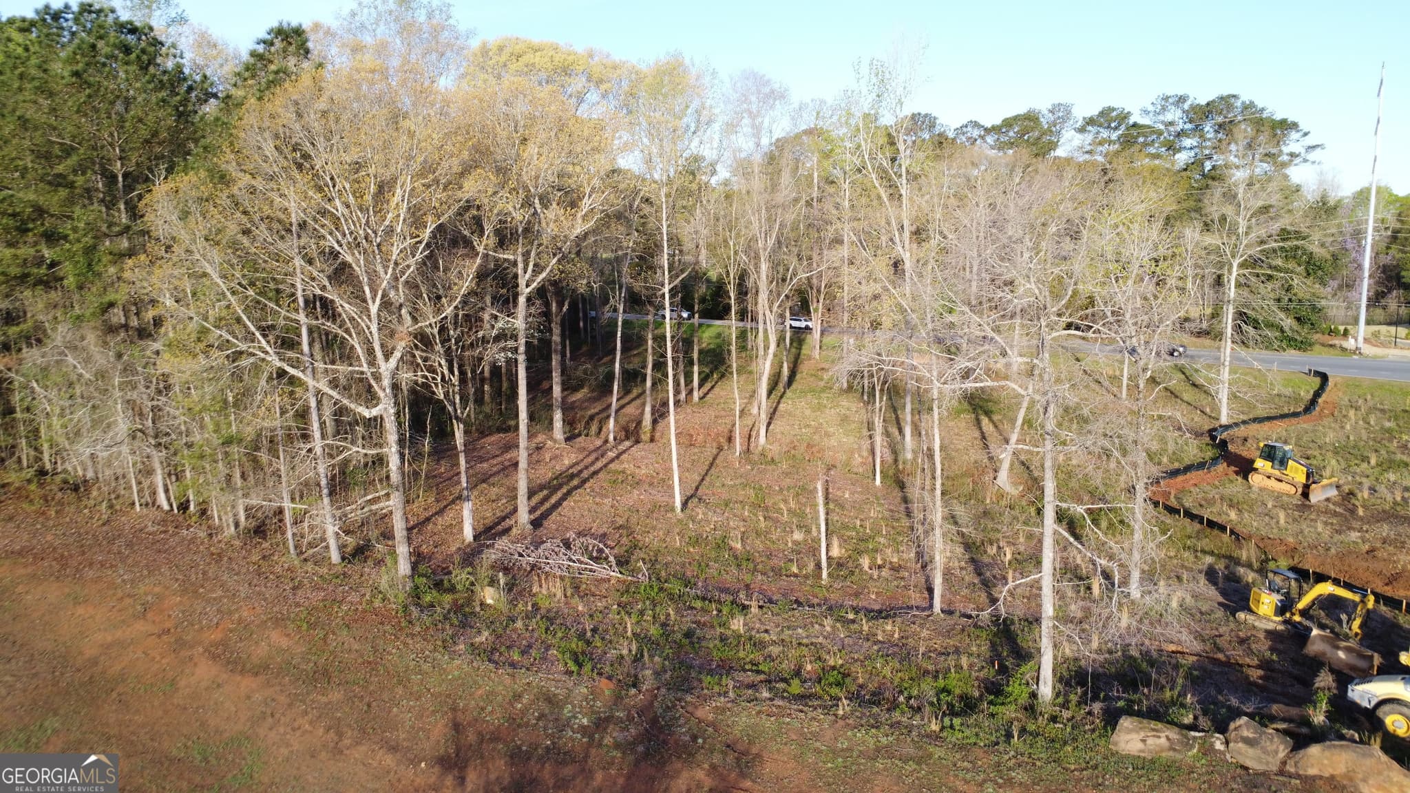 unimproved land for sale at 1415 Bass Road, Macon, GA 31210 — photo 4
