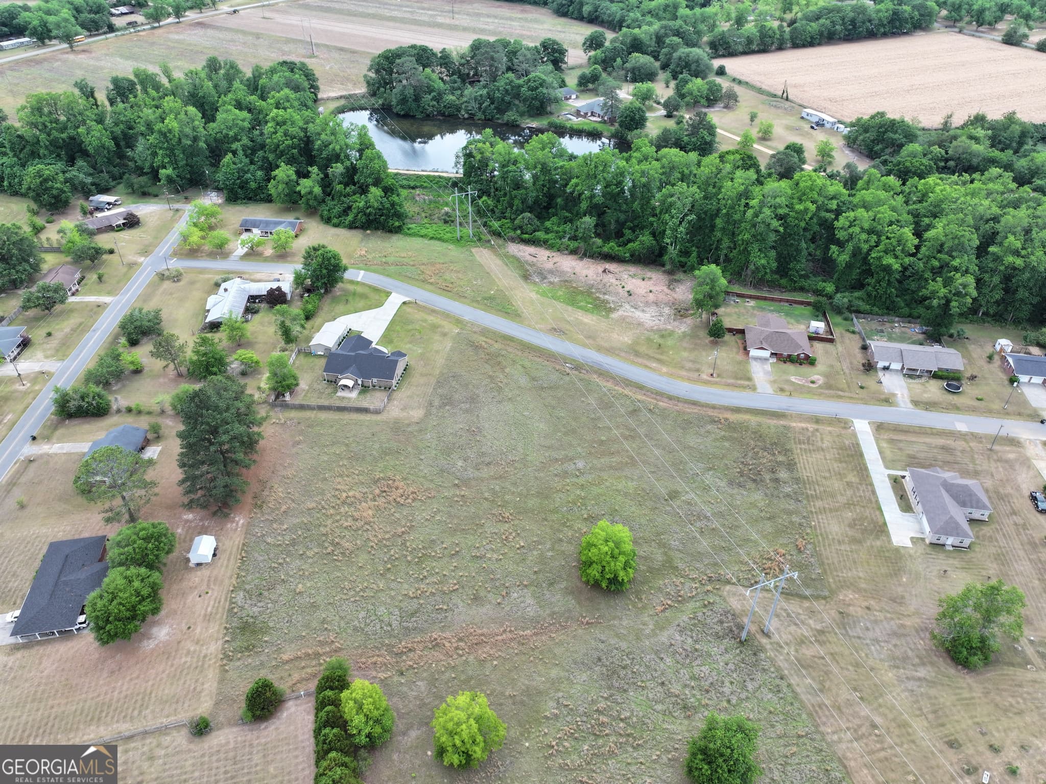 unimproved land for sale at 0 E Howard Street, Glennville, GA 30427 — photo 6