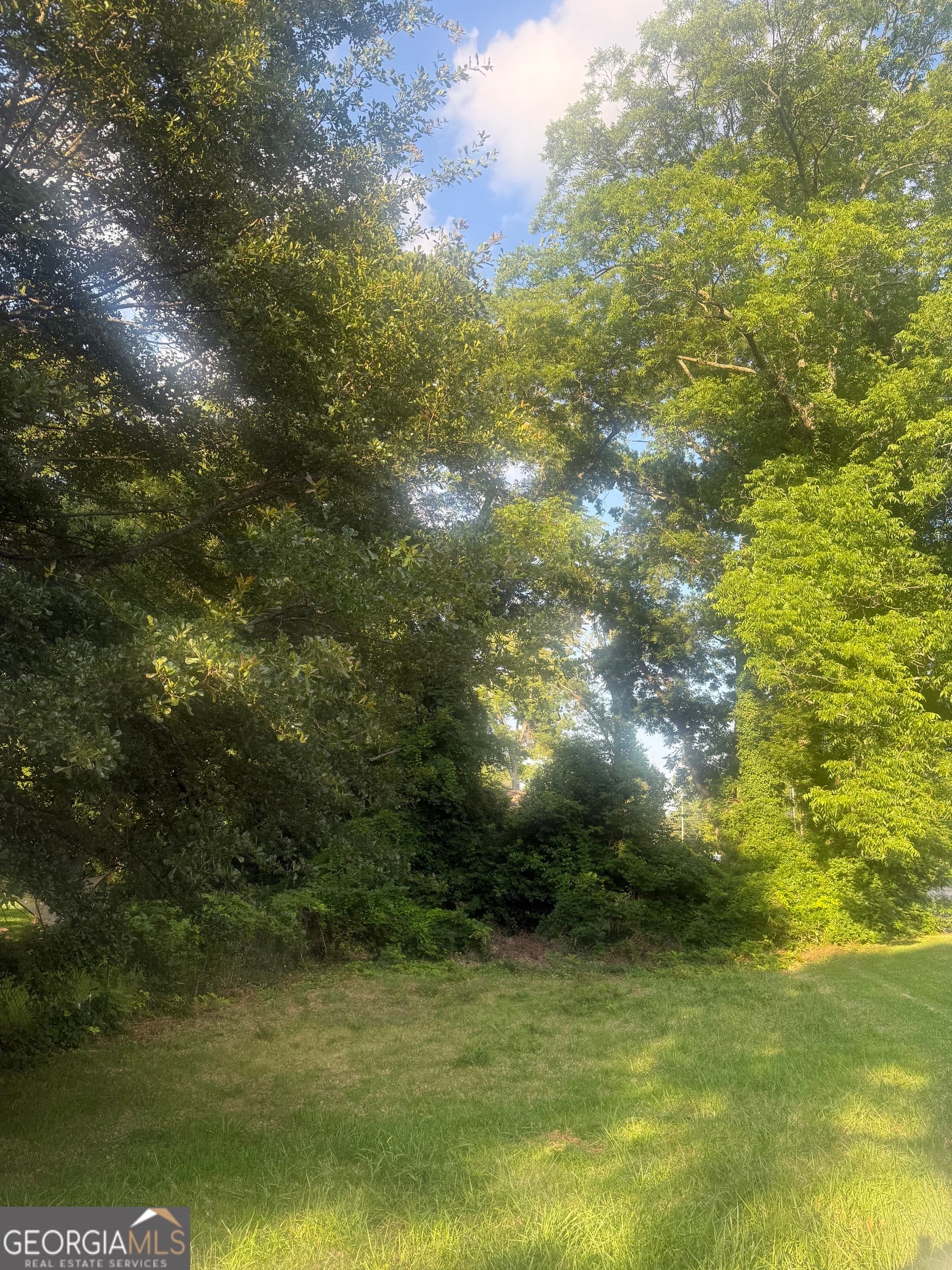 unimproved land for sale at 733 W Broad Street, Griffin, GA 30223 — photo 2