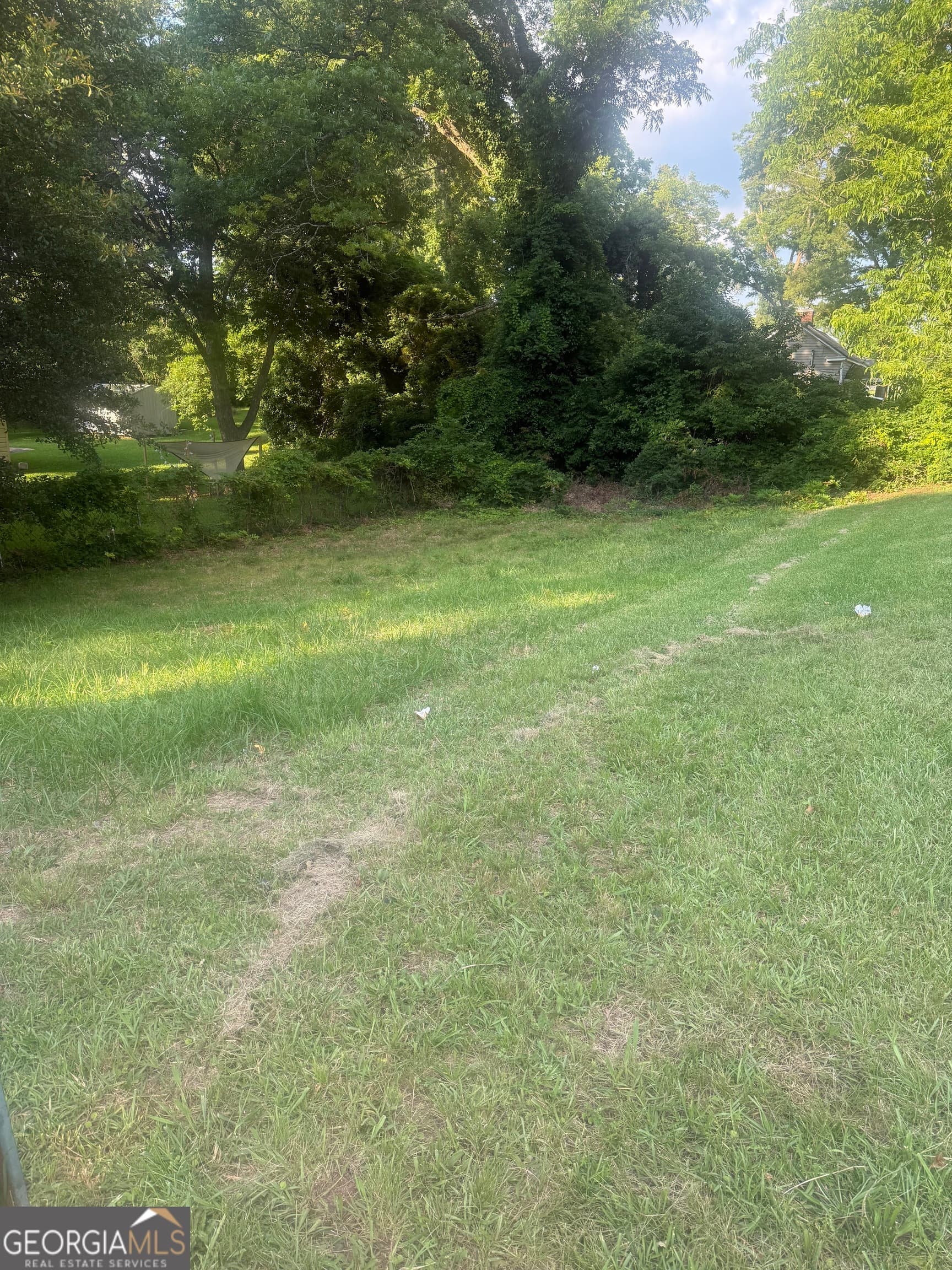 unimproved land for sale at 733 W Broad Street, Griffin, GA 30223 — photo 6