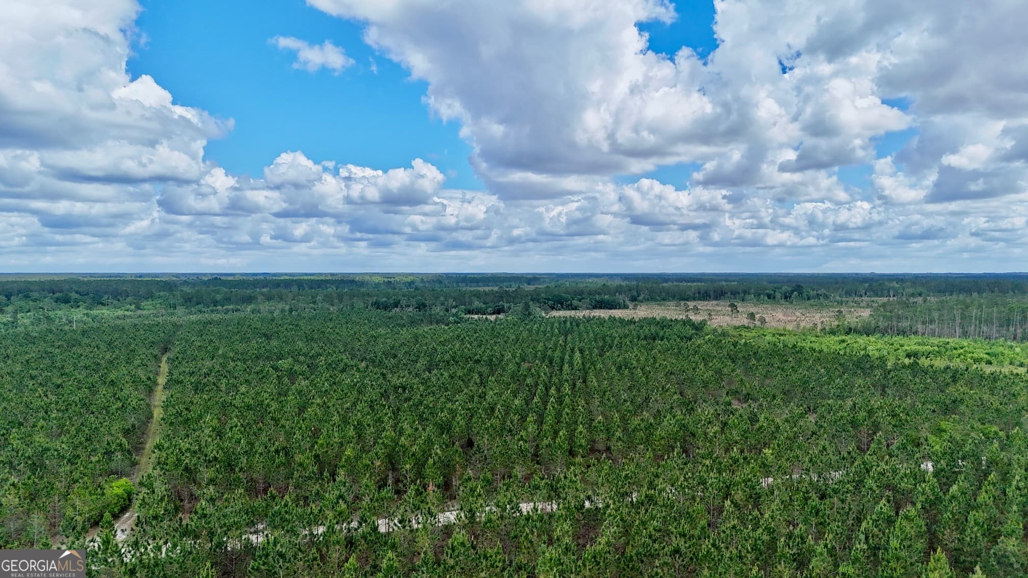 agriculture sold at 26 AC Owens Road, Odum, GA 31555