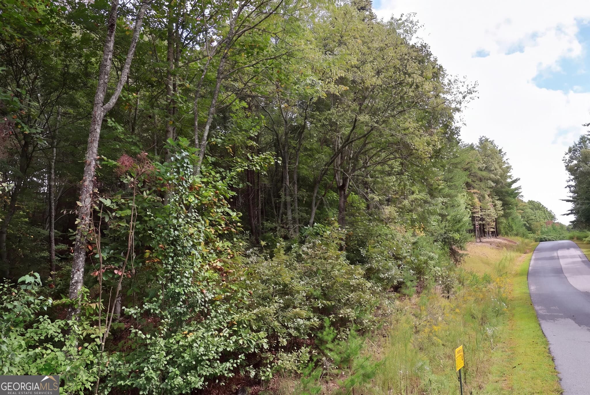 residential lot for sale at 965 Old Owen Drive, Blairsville, GA 30512 — photo 6