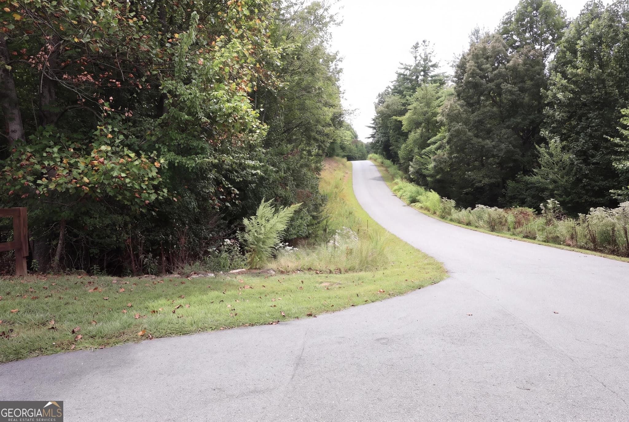 residential lot for sale at 965 Old Owen Drive, Blairsville, GA 30512 — photo 5