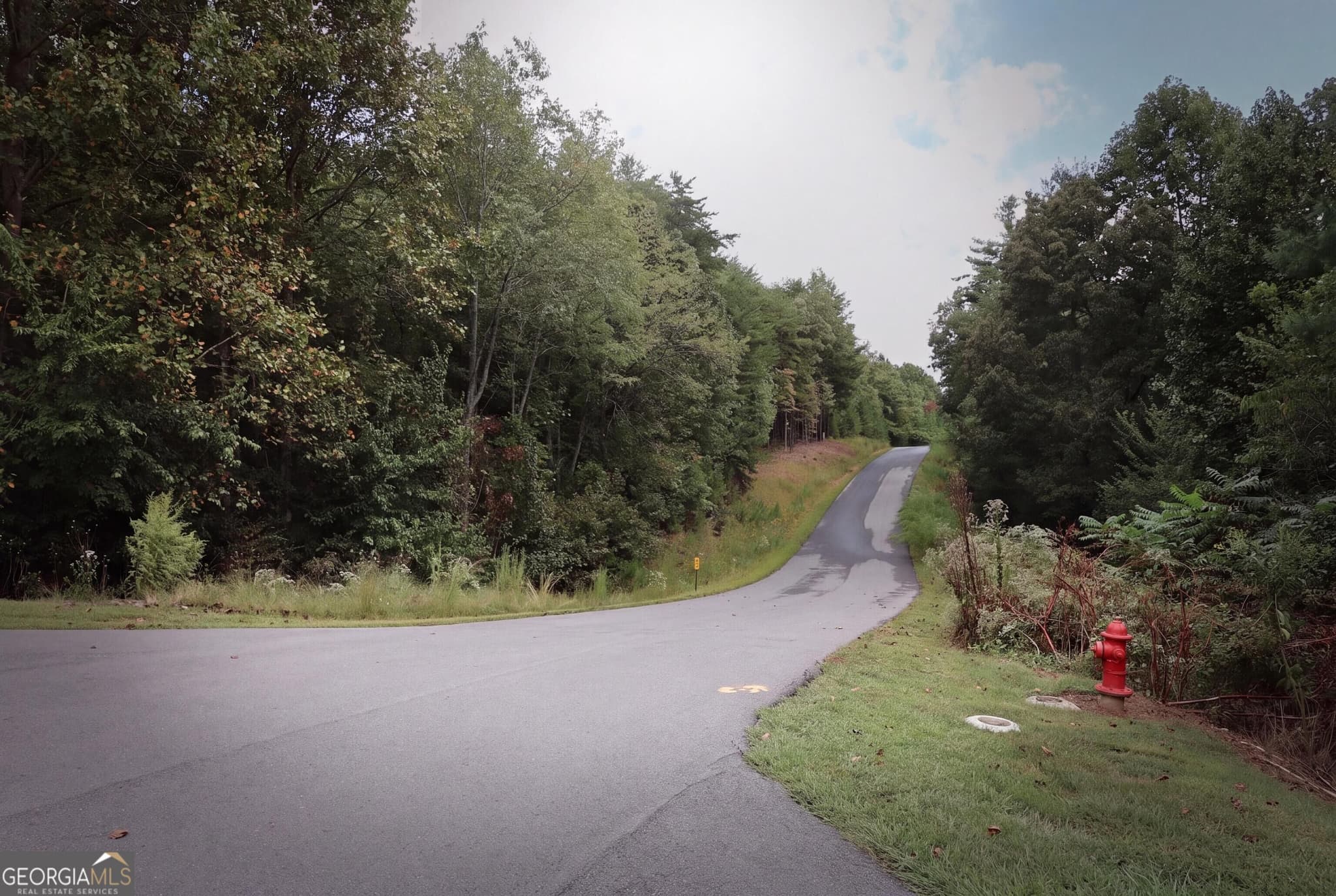 residential lot for sale at 965 Old Owen Drive, Blairsville, GA 30512 — photo 4
