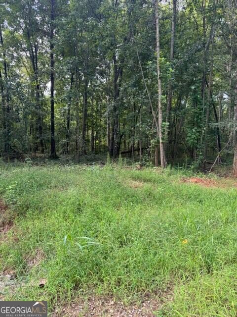 estate lot for sale at LOT #6 Rita Ridge, Jefferson, GA 30549 — photo 3