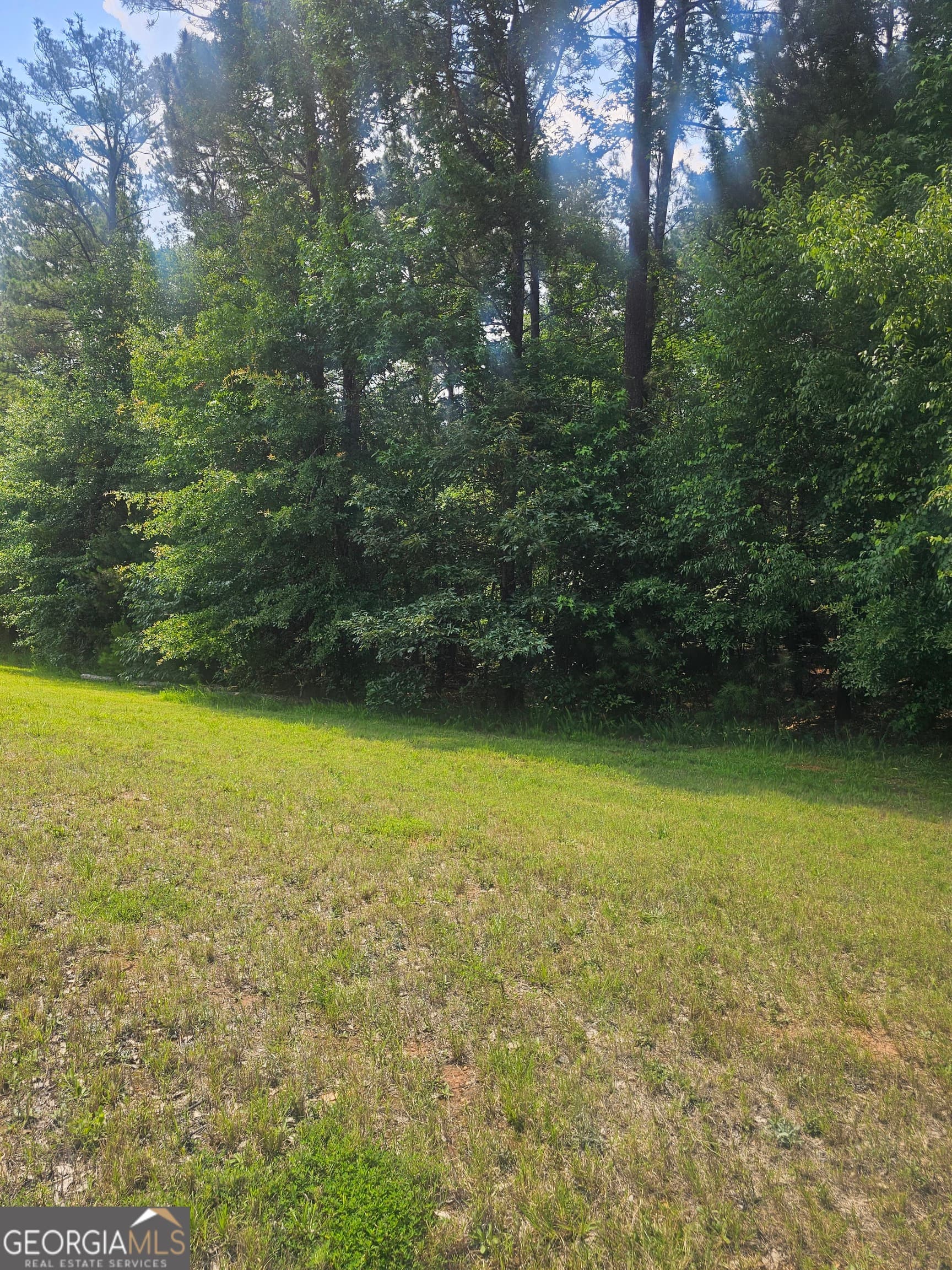 unimproved land for sale at 2755 PEEKSVILLE, Locust Grove, GA 30248 — photo 6