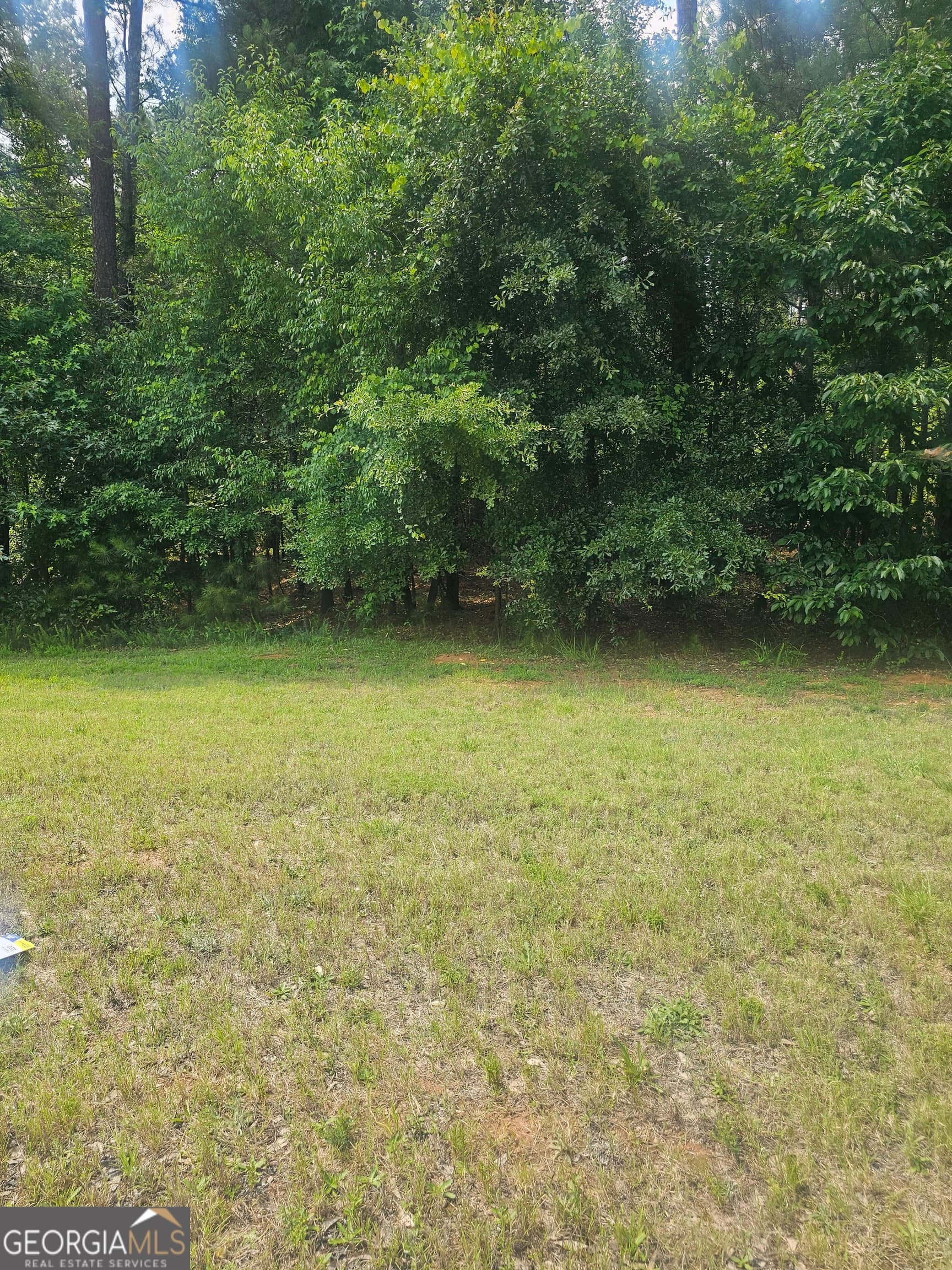 unimproved land for sale at 2755 PEEKSVILLE, Locust Grove, GA 30248 — photo 3
