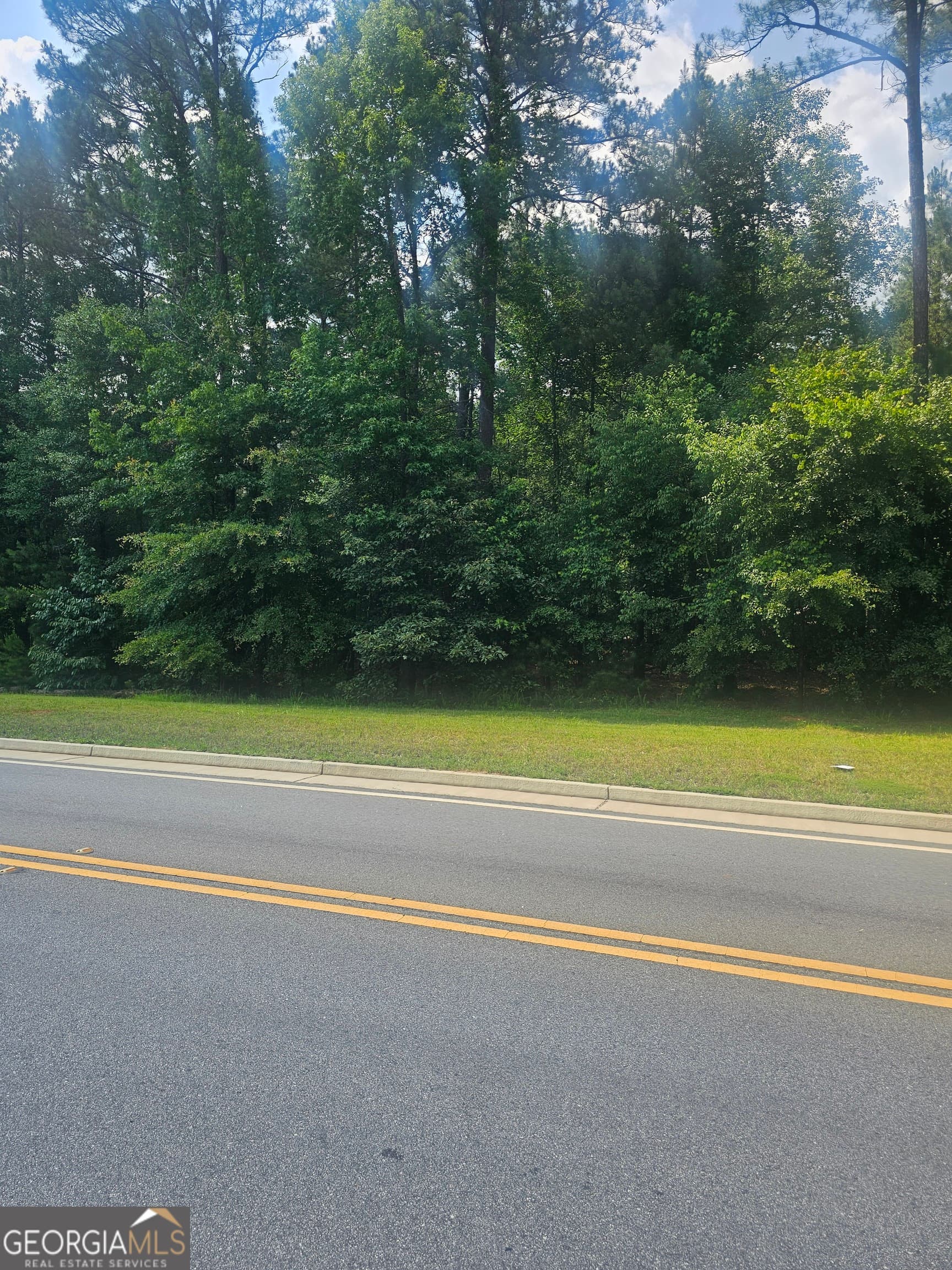 unimproved land for sale at 2755 PEEKSVILLE, Locust Grove, GA 30248 — photo 9