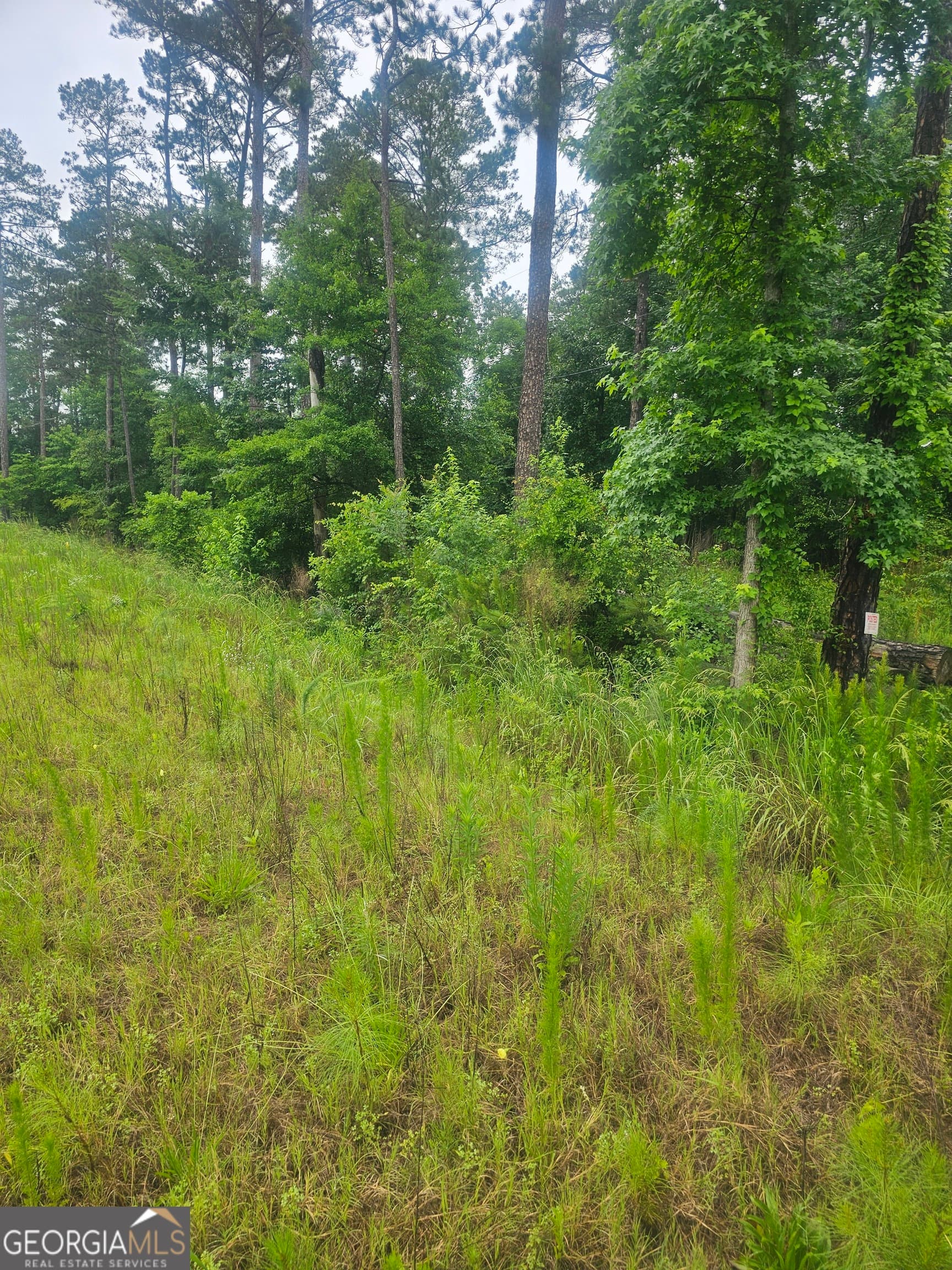 unimproved land for sale at 2755 PEEKSVILLE, Locust Grove, GA 30248 — photo 10