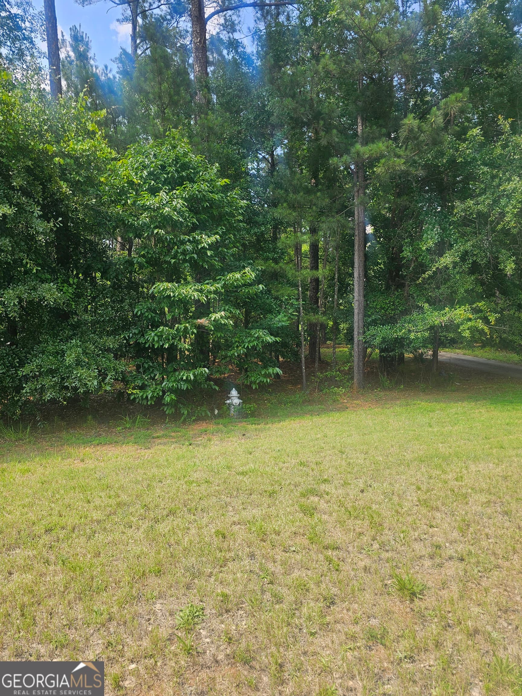 unimproved land for sale at 2755 PEEKSVILLE, Locust Grove, GA 30248 — photo 4