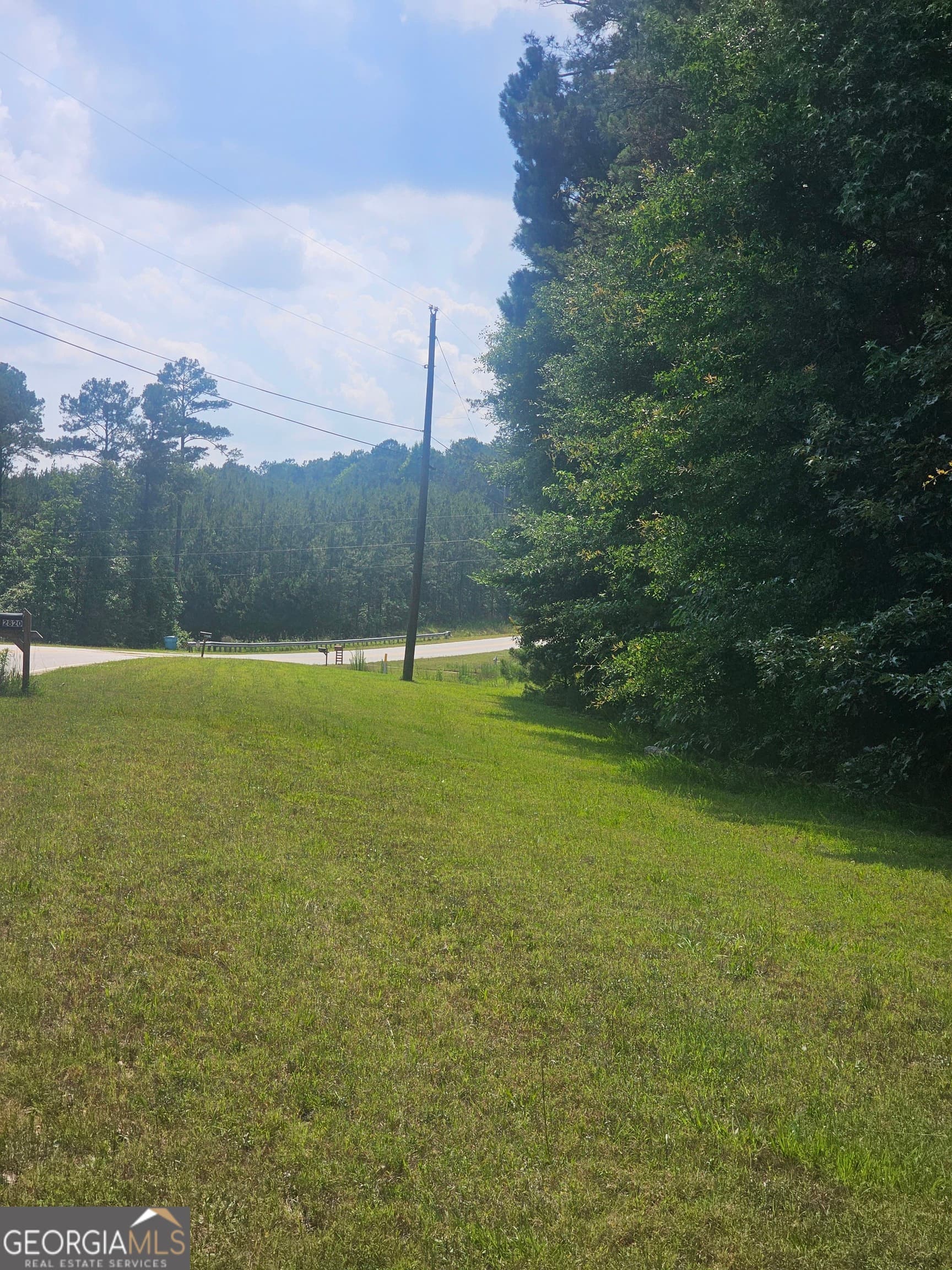 unimproved land for sale at 2755 PEEKSVILLE, Locust Grove, GA 30248 — photo 8