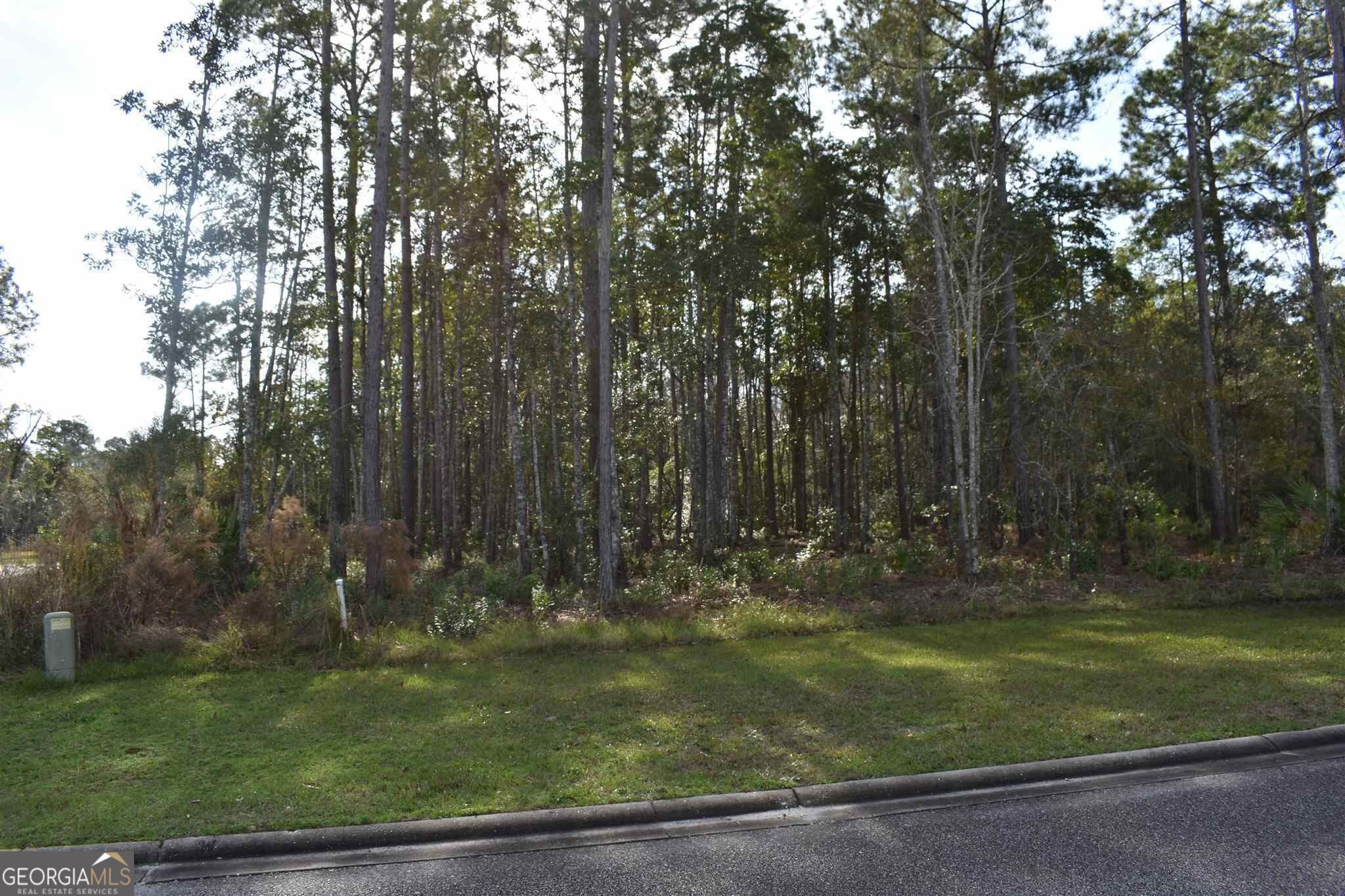 residential lot for sale at 104 Baiter Court, St. Marys, GA 31558 — photo 2