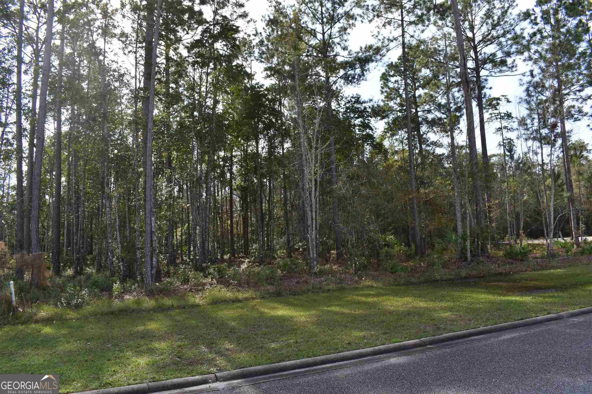 residential lot for sale at 104 Baiter Court, St. Marys, GA 31558 — photo 3