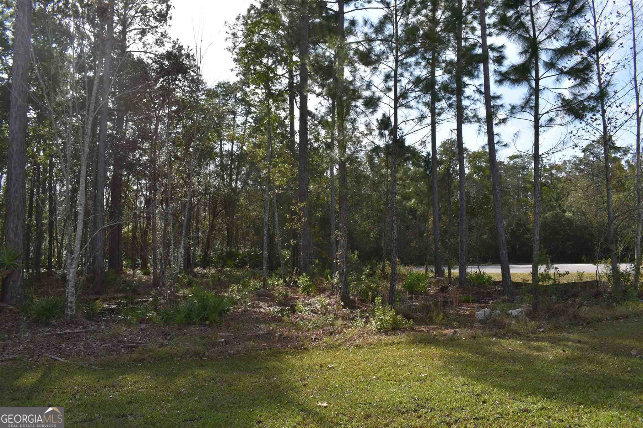 residential lot for sale at 104 Baiter Court, St. Marys, GA 31558 — photo 4