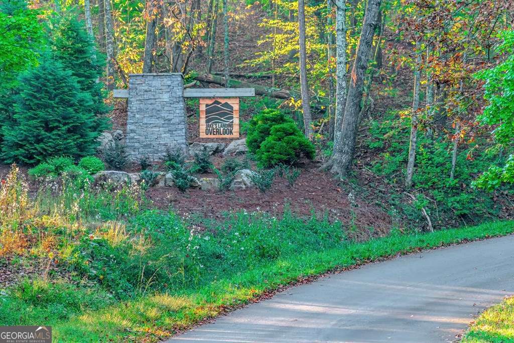 residential lot for sale at LOT 50 Jakes Landing Way, Ellijay, GA 30540 — photo 6