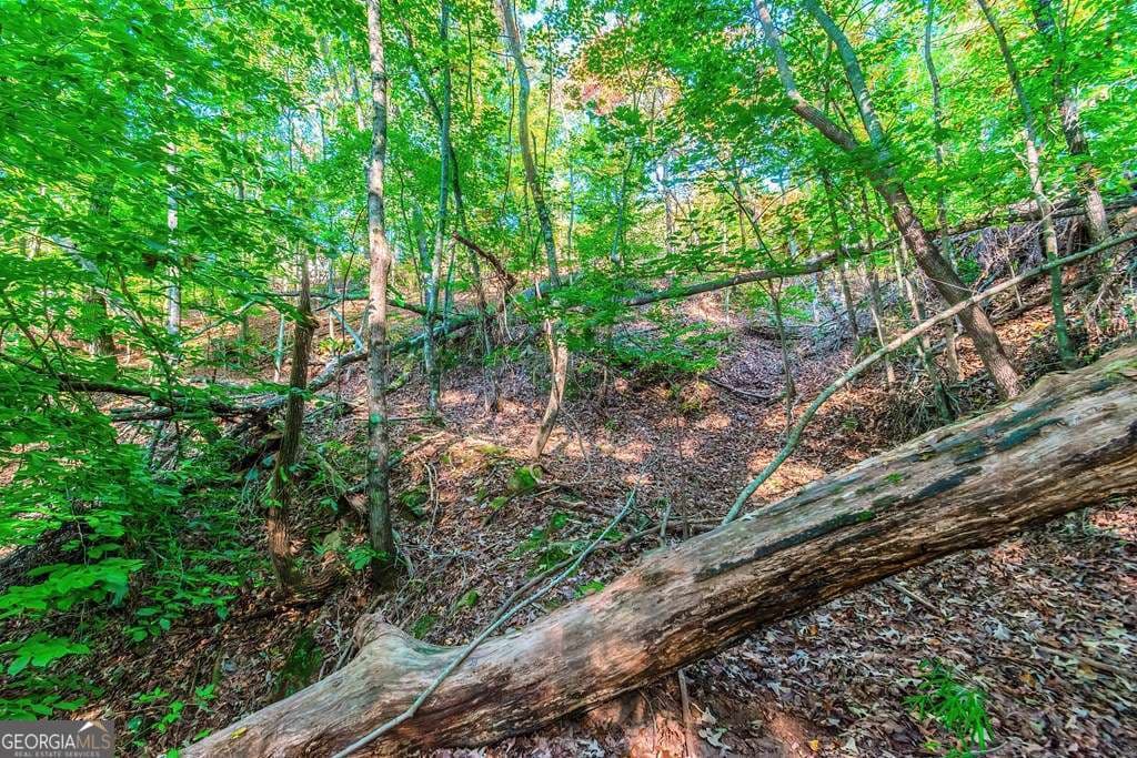 residential lot for sale at LOT 50 Jakes Landing Way, Ellijay, GA 30540 — photo 7