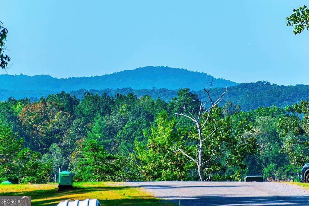 residential lot for sale at LOT 50 Jakes Landing Way, Ellijay, GA 30540 — photo 1 of 42