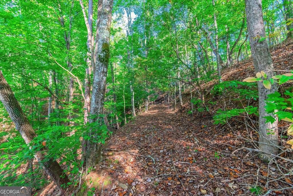 residential lot for sale at LOT 50 Jakes Landing Way, Ellijay, GA 30540 — photo 9