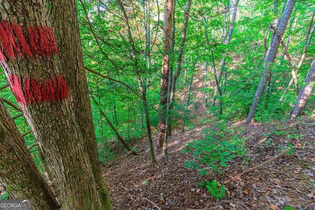 residential lot for sale at LOT 50 Jakes Landing Way, Ellijay, GA 30540 — photo 10