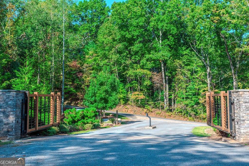 residential lot for sale at LOT 50 Jakes Landing Way, Ellijay, GA 30540 — photo 4