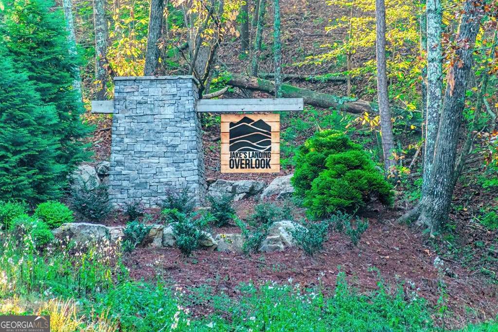residential lot for sale at LOT 50 Jakes Landing Way, Ellijay, GA 30540 — photo 8
