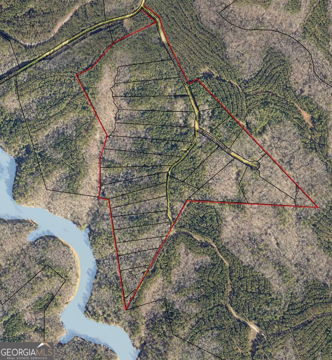 residential lot for sale at LOT 29 Benjamin Brown Court, Elberton, GA 30635 — photo 2