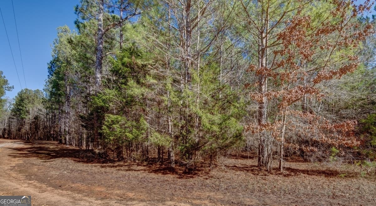 residential lot for sale at LOT 29 Benjamin Brown Court, Elberton, GA 30635 — photo 6