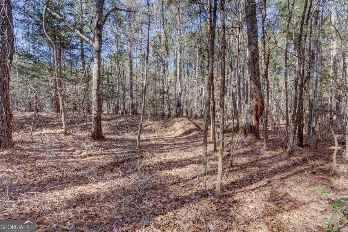 residential lot for sale at LOT 29 Benjamin Brown Court, Elberton, GA 30635 — photo 7