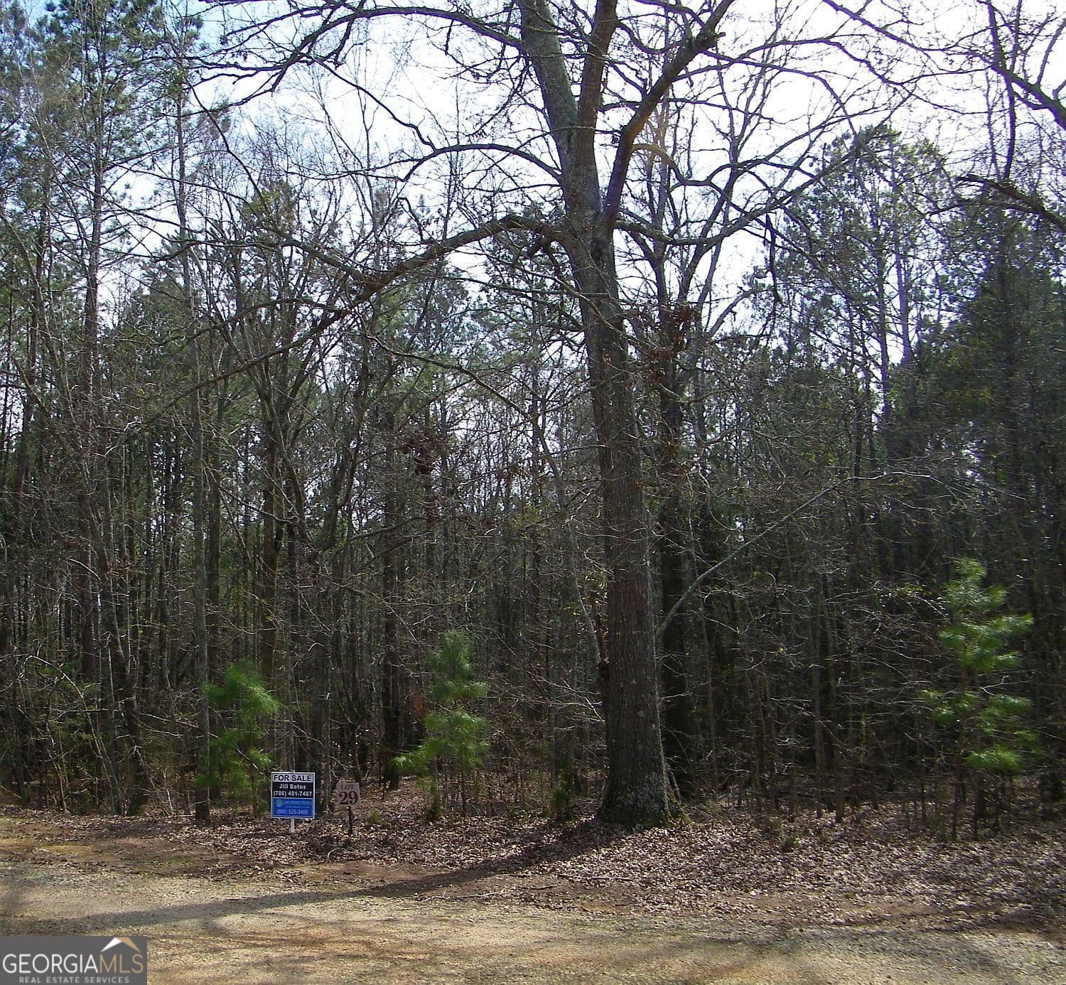 residential lot for sale at LOT 29 Benjamin Brown Court, Elberton, GA 30635 — photo 1 of 15