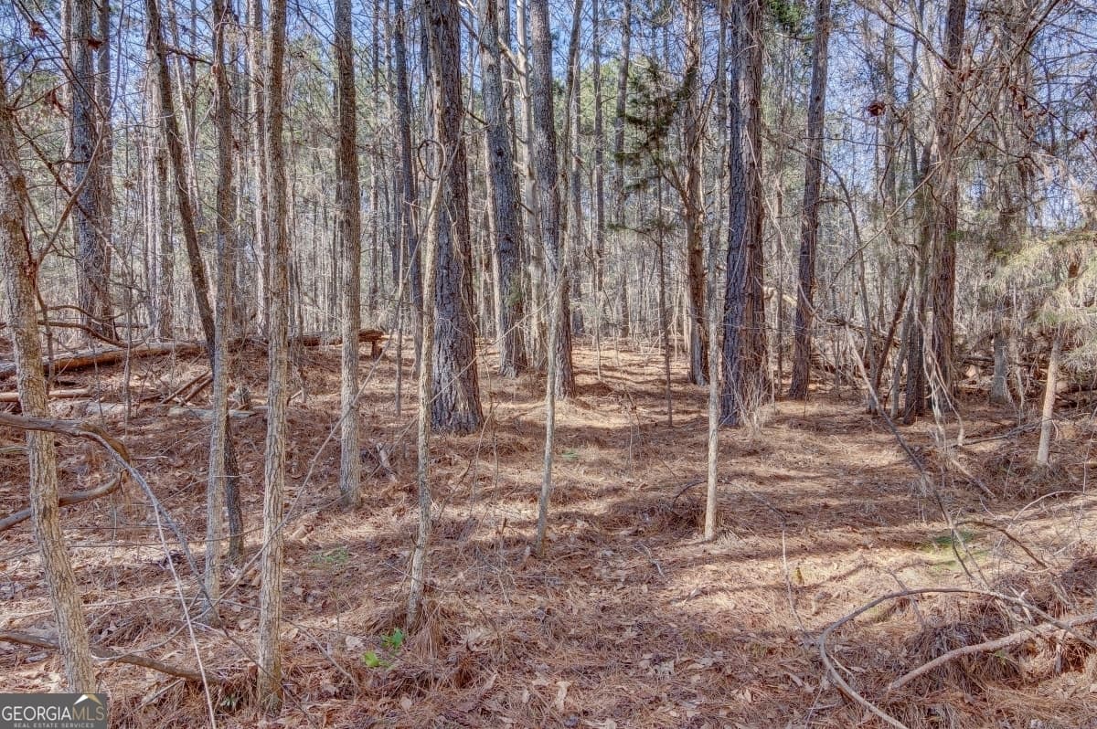 residential lot for sale at LOT 29 Benjamin Brown Court, Elberton, GA 30635 — photo 5