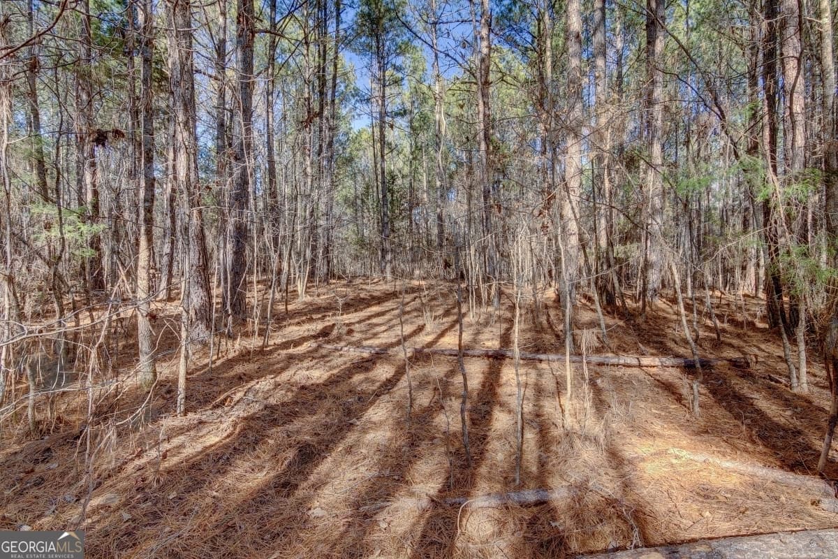 residential lot for sale at LOT 29 Benjamin Brown Court, Elberton, GA 30635 — photo 9